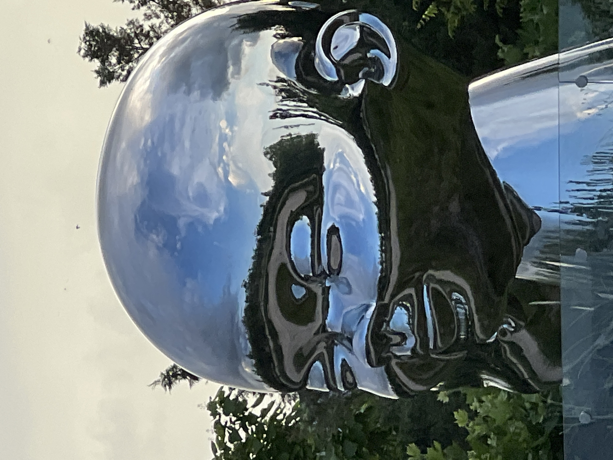 The image is a close-up, sideways shot of a highly reflective, abstract sculpture that appears to be made of polished metal. The sculpture is shaped like a stylized head, with a large, rounded cranium and a prominent nose and mouth. Its surface mirrors the surrounding environment, reflecting a bright sky with white clouds, green trees and foliage, and other unspecified dark shapes. The reflections create distorted and abstract patterns on the sculpture's surface, adding to its artistic quality.
The sculpture is outdoors, as indicated by the natural lighting, sky, and greenery. The time of day appears to be daytime, possibly late afternoon or early evening, given the soft lighting and the presence of clouds. There are no explicit cues about the weather, but the clear sky suggests fair conditions. The location context is Krasnodar, Russia.
The sculpture itself is the primary subject, with the reflections acting as secondary elements that contribute to its visual complexity. The overall mood is one of artistic contemplation and visual abstraction. There is no visible text in the image.