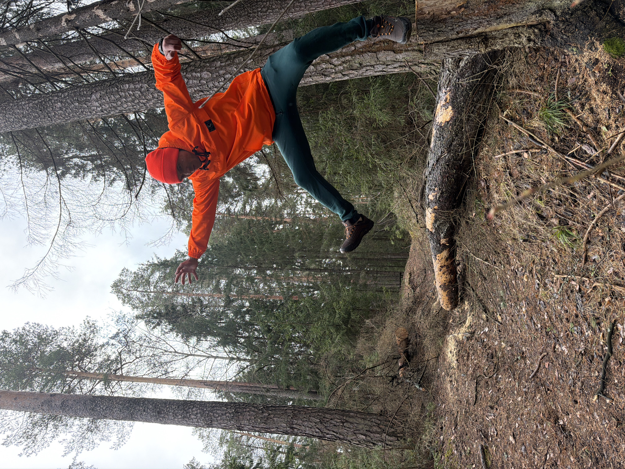 The image depicts a man in an orange jacket, dark green pants, and a red beanie, seemingly suspended in mid-air between trees in a forest. His arms are outstretched, and he is wearing brown hiking boots. The ground is covered with pine needles, fallen branches, and a sawn log. The trees are mostly coniferous, with some bare deciduous branches visible. Based on the location metadata, this scene is likely in the city of Chaikovsky, Russia.