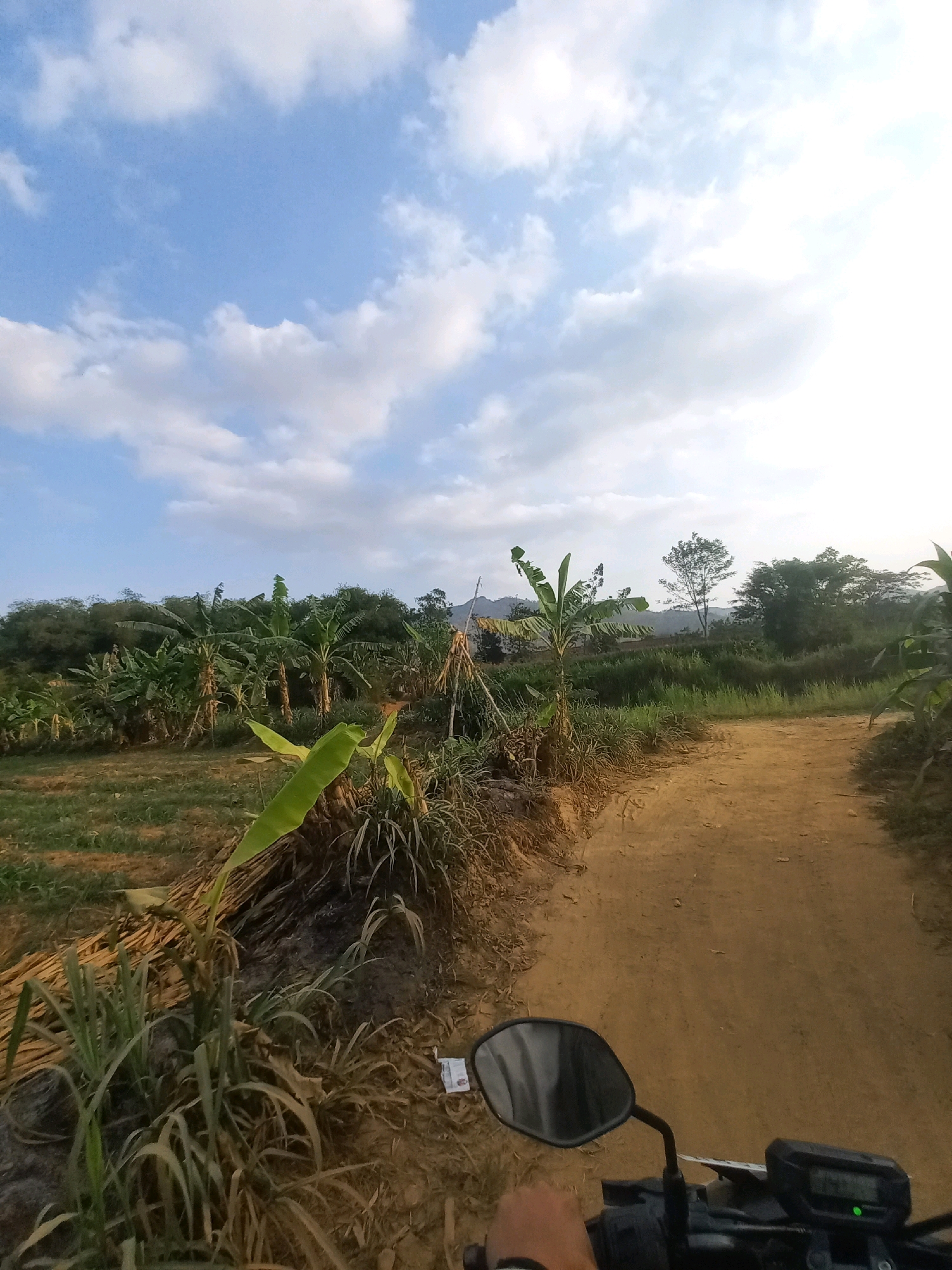 The image depicts a dirt road winding through a rural landscape, likely in Wiroko, Indonesia. To the left of the road, a field of banana trees is visible, with lush green leaves and thick stalks. The ground in the field appears to be tilled and sparsely vegetated. On the right side of the road, more vegetation grows, including tall grasses and what appear to be dried stalks. In the distance, a line of trees forms a dense backdrop, with rolling hills or mountains visible behind them. The sky is a pale blue, with scattered white clouds that are illuminated by the sun, suggesting it is either early morning or late afternoon. The perspective suggests the photo was taken from a moving vehicle, likely a motorcycle, as the handlebars and a side mirror are visible in the foreground. There is no human presence or interaction immediately apparent in the frame, apart from the implied driver of the vehicle. A small white packet is visible on the ground near the edge of the road, on the right side.