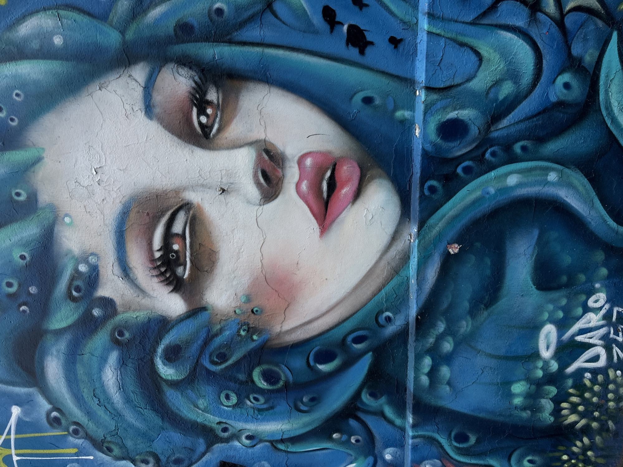 A close-up photograph captures a vibrant graffiti mural of a woman's face, rendered in a striking blue and white palette on a textured wall. The central subject is a light-skinned face, possibly an ethereal or mythological figure, depicted with large, expressive eyes featuring long dark lashes and brown irises. Her full, heart-shaped lips are painted in a striking pink hue and are slightly parted. A subtle blush colors her cheek.
The woman's head is framed by swirling, organic forms in various shades of blue and teal, reminiscent of water, waves, or tentacles. These blue elements are adorned with numerous small circular details, some appearing as dark holes, others as lighter bubbles or suckers, adding a marine or aquatic theme. In the upper right background, darker silhouettes of small fish or marine life are subtly integrated into the blue swirling patterns.
The mural is painted on a surface with visible cracking and peeling paint, particularly across the lighter areas of the face, indicating its age and outdoor exposure. Faint white graffiti, possibly reading "ORO", is visible on the right side of the mural, blending with the blue background. Additional faint white and yellow markings are present in the bottom left corner. The artwork has a distinct street art style, characterized by bold colors and dynamic forms. The woman's face is depicted on a diagonal, tilted upwards and to the right within the frame, adding a dynamic composition. This mural is located in Buenos Aires, Argentina.