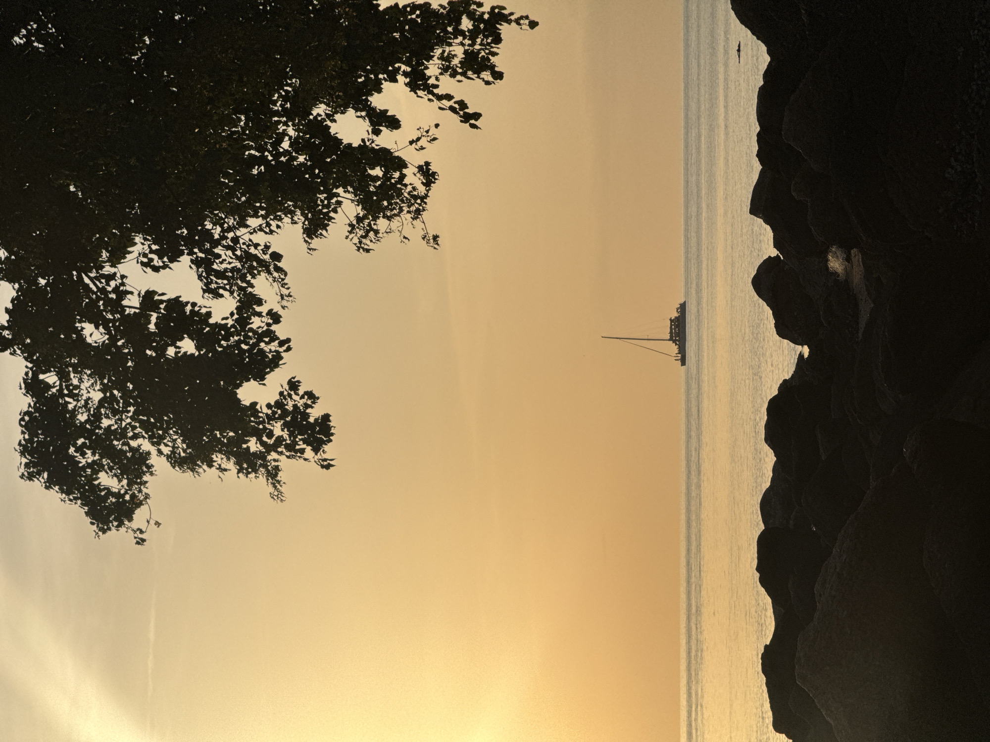 The image depicts a serene sunset over the ocean in Ko Samui District, Thailand. In the foreground, dark, silhouetted rocks form a rugged coastline. The calm sea stretches out to the horizon, illuminated by the warm, golden hues of the setting sun. A sailboat with multiple sails is visible in the distance, gliding across the water. Overhead, the dark silhouette of tree branches with leaves frames the upper portion of the scene. The overall atmosphere is tranquil and picturesque.