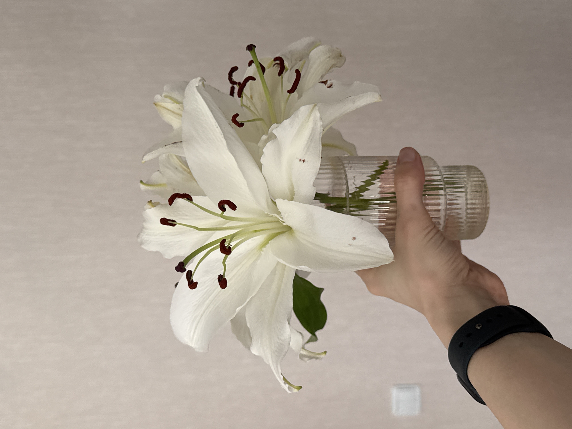 A hand wearing a black smartwatch holds a clear, textured glass vase containing white lilies with dark maroon pollen-covered stamen. The background is a plain, light beige wall. The image provides no data to support the location is Perm, Russia.