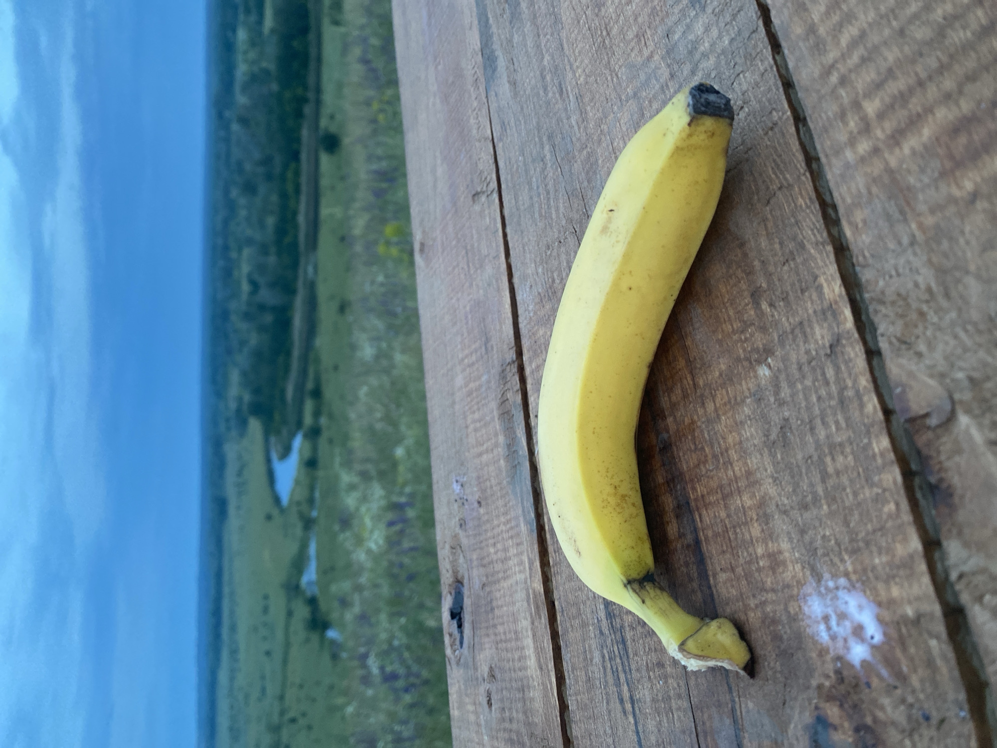 The image displays a ripe yellow banana resting on a weathered wooden surface in the foreground. The banana is positioned horizontally, with its stem end pointing left and its blossom end right. Small dark brown spots are visible on its peel, indicating ripeness, and both ends are darkened. The wooden surface comprises multiple planks with visible grain, knots, and some imperfections; a small patch of white, granular residue is present on the wood near the banana's stem.
The background presents a panoramic natural landscape under an overcast, blue-grey sky, suggesting twilight or heavily clouded daytime conditions. The scene is located in Ustyvytsia, Ukraine. A verdant valley unfolds, characterized by gently rolling hills covered in lush green vegetation, including fields and scattered trees. A winding, light blue river meanders through the landscape, reflecting the sky. No human figures or discernible man-made structures are visible beyond the wooden surface. The focus is sharp on the banana and the immediate wooden surface, with the background rendered with a softer focus.