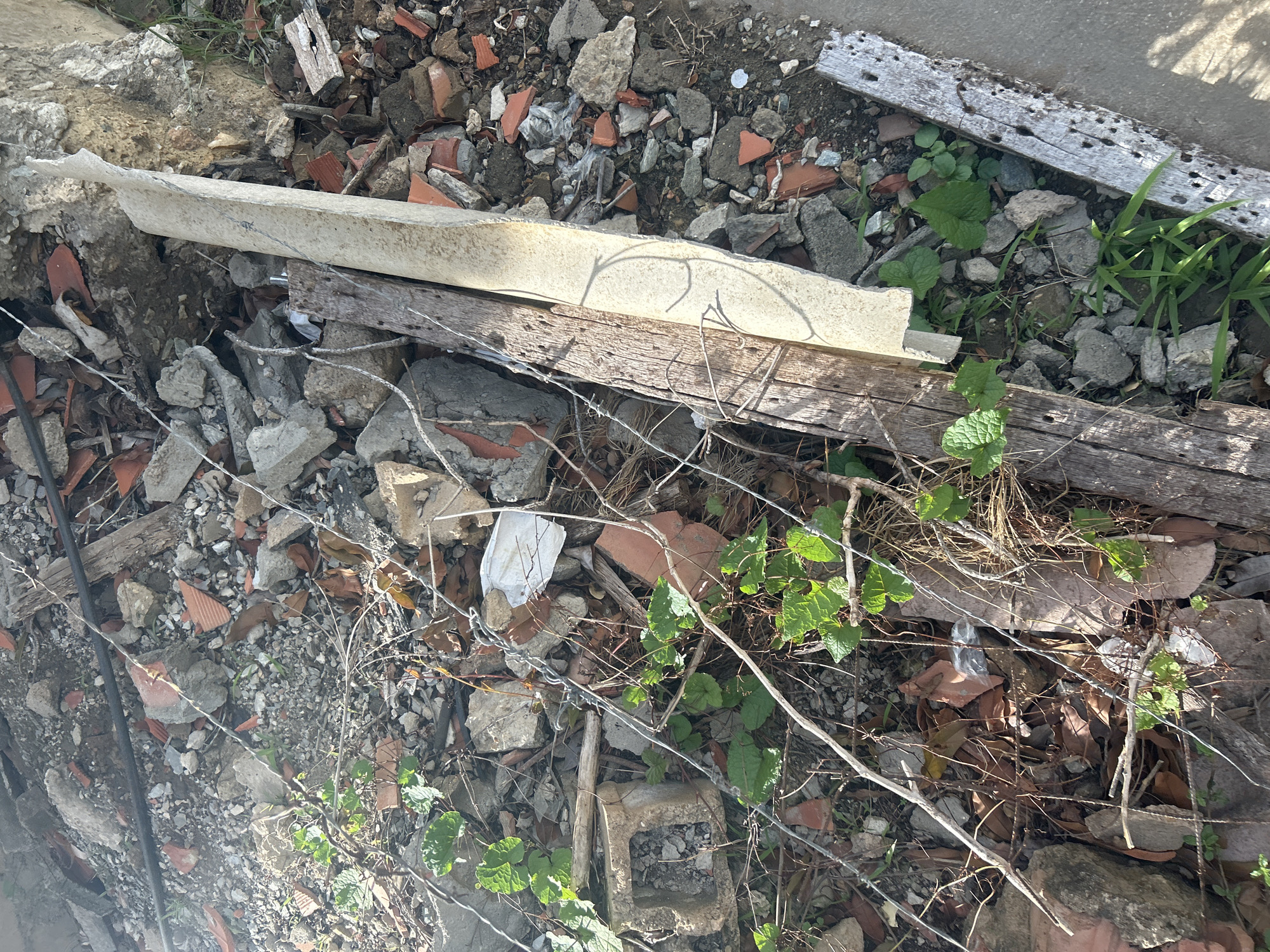 This is an overhead shot of a construction debris pile in Santa Ana, Venezuela. The pile consists of broken concrete, red brick fragments, rocks, and dry leaves. Several pieces of weathered wood are mixed in, including two long planks lying side-by-side, one appearing lighter in color and possibly covered in a material like plaster or concrete. Thin, grey wires, resembling barbed wire, are interspersed throughout the debris and amongst the foliage. Several green leafy plants are growing up from the debris, some appearing wilted. A white, crinkled plastic bag is visible amongst the debris. The ground is uneven and appears to be dirt and gravel. A concrete surface is visible along the right edge of the image. There are no people visible in the image.