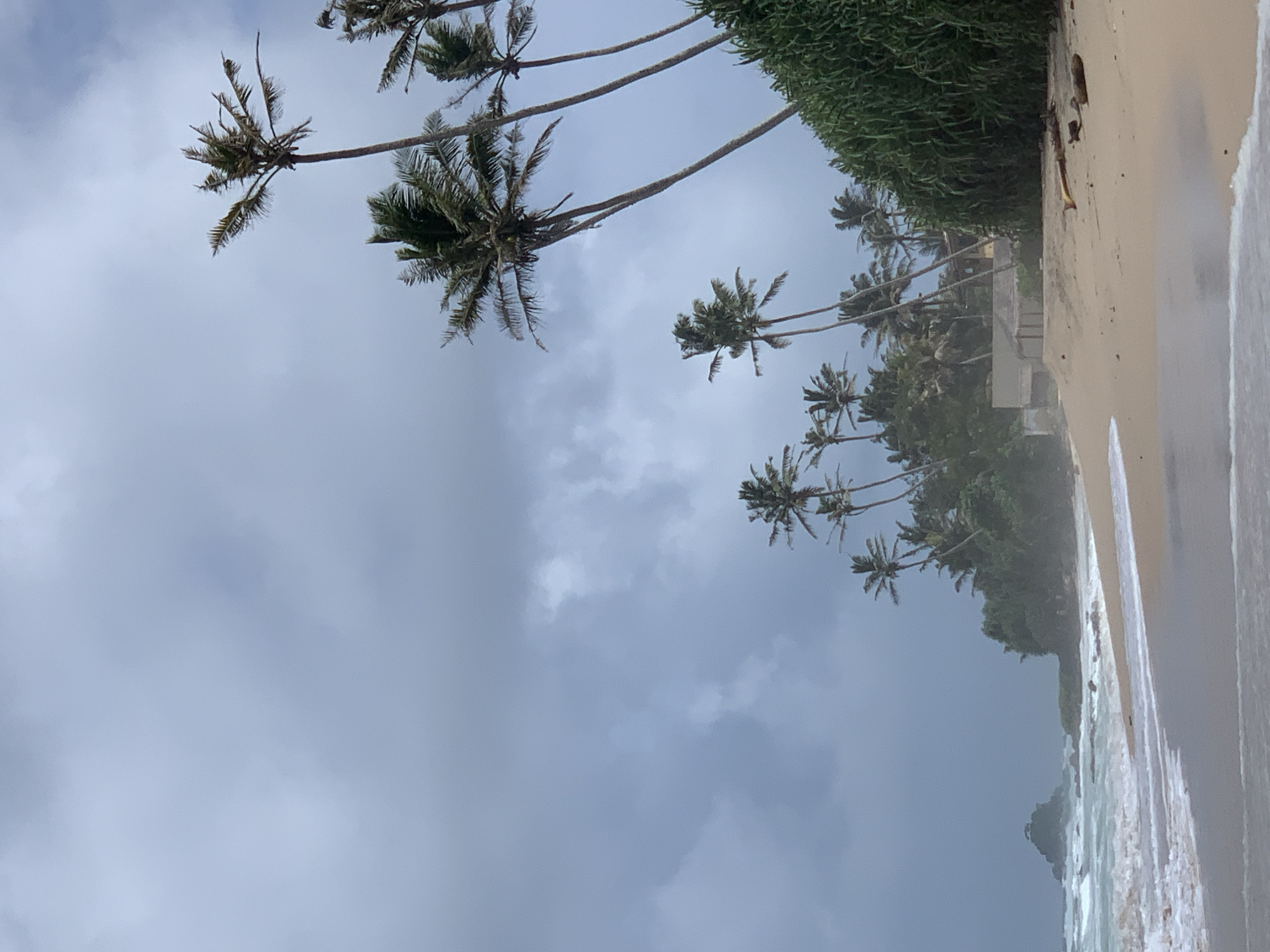 A sandy beach in Midigama, Sri Lanka, is depicted under a cloudy sky, with gentle waves lapping at the shore. Several palm trees are scattered along the coastline, with lush green foliage forming a dense backdrop to the beach. A small, rocky island with vegetation is visible in the distance, emerging from the sea. A building with a light-colored roof is partially obscured by trees, and driftwood lies scattered on the sand. The overall atmosphere is serene and natural, with no people or animals present.