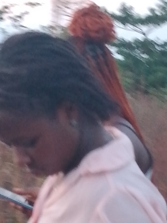 The image shows two individuals outdoors. The person in the foreground is a dark-skinned woman with braided hair. She is looking down at a cell phone she holds in her hand, wearing a light pink shirt. In the background, another person with red hair that is styled in a bun is visible. The setting appears to be a natural environment with trees and sky in the background. The location is likely in Ogboko, Nigeria, given the prompt.