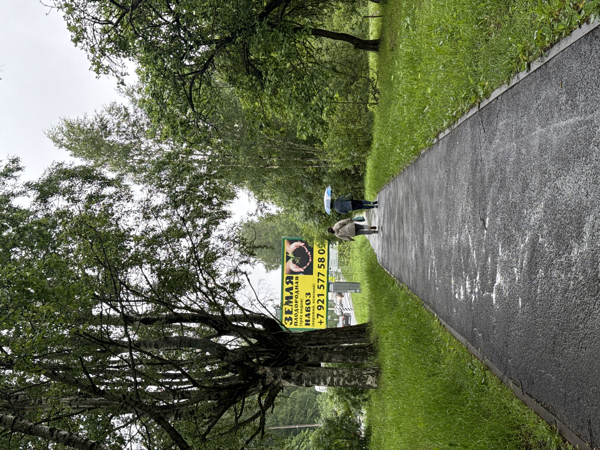 This media file depicts a paved pathway curving through a park-like setting on an overcast day, suggesting it might be morning or late afternoon. The path is bordered by lush green grass and mature trees, with dense foliage creating a natural canopy overhead. Two individuals are walking away from the camera on the pathway, one holding a blue and white umbrella, indicating light rain or a recent shower.
In the foreground on the left, a large, gnarled tree with extensive branches dominates the scene. To the right of the tree and further down the path, a prominent yellow billboard stands. The billboard features text and an image. The visible text is in Russian and includes: "ЗЕМЛЯ ПЛОДОРОДНАЯ (трёх видов)", "НАВОЗ (коровий, конский)", and a phone number "+7 921 577 58 09". The image on the billboard shows two hands cupping dark soil from which a small green seedling is emerging.
The overall impression is one of a tranquil, somewhat damp, outdoor environment, possibly a botanical garden or a well-maintained park, where nature is a primary focus. The weather appears to be mild, with the rain not deterring the pedestrians from their walk. The scene is composed with the pathway leading the eye into the distance, with the tree and billboard adding points of interest in the mid-ground.