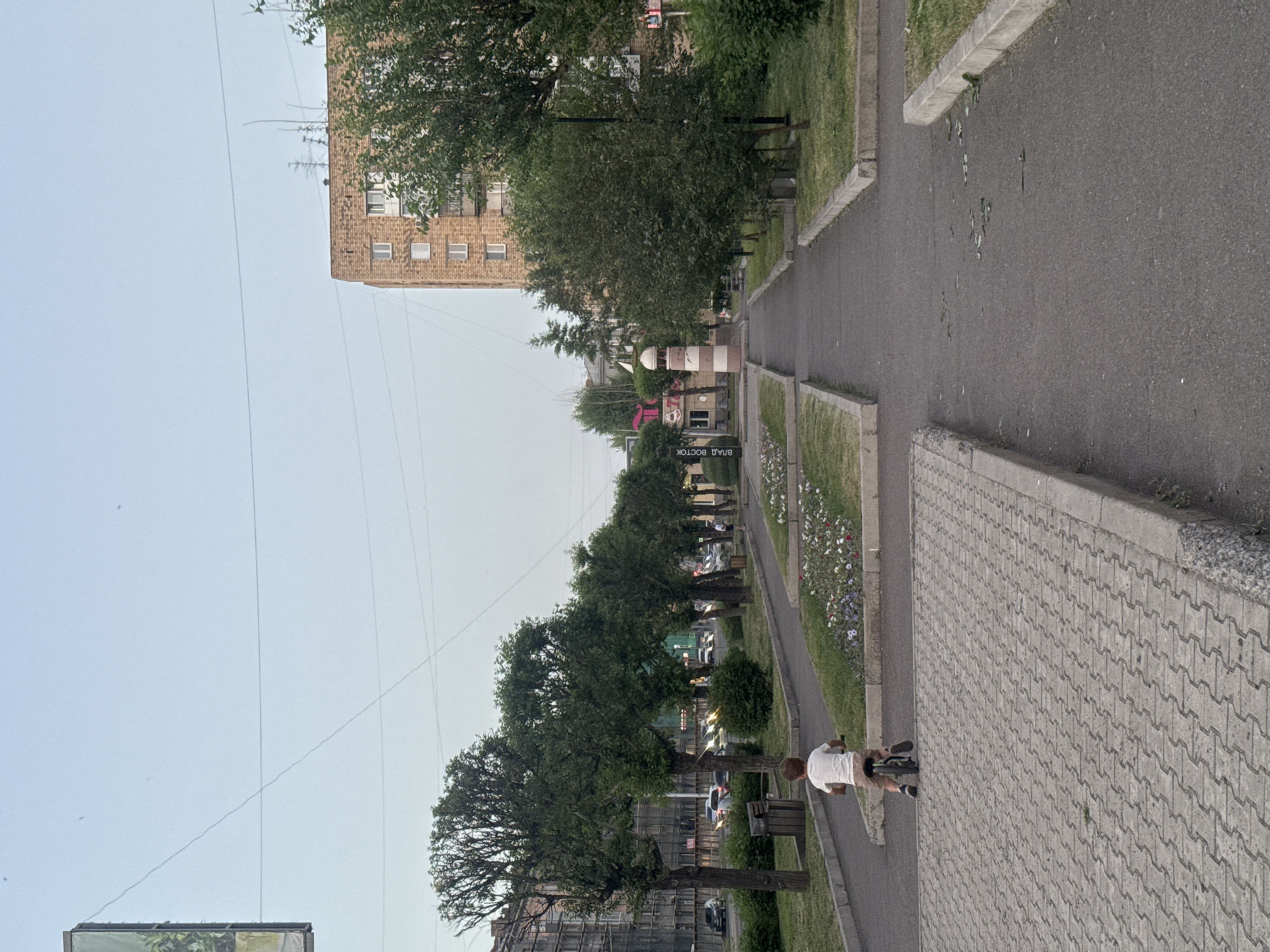 This is a vertical, eye-level, outdoor shot taken during the day in a residential area. The scene depicts a young person, likely a boy, riding a bicycle on a paved sidewalk. He is wearing a white t-shirt and light-colored shorts. The sidewalk is bordered by a narrow strip of grass and then a paved road with a few cars visible. Beyond the road, a row of leafy green trees lines the street, with a multi-story brick apartment building in the background. Power lines crisscross the sky, which appears clear and bright, suggesting good weather.
To the left of the trees, a glimpse of a building with windows is visible, and further in the distance, more structures and trees can be seen, indicating a developed urban or suburban environment. The overall atmosphere is peaceful and ordinary, suggesting a casual outdoor activity.
A sign is visible on a pole near the trees, with Cyrillic text that reads "ВЛАД ВОСТОК". The light suggests it's daytime, possibly late afternoon or early evening. The location context points to Krasnoyarsk, Russia.