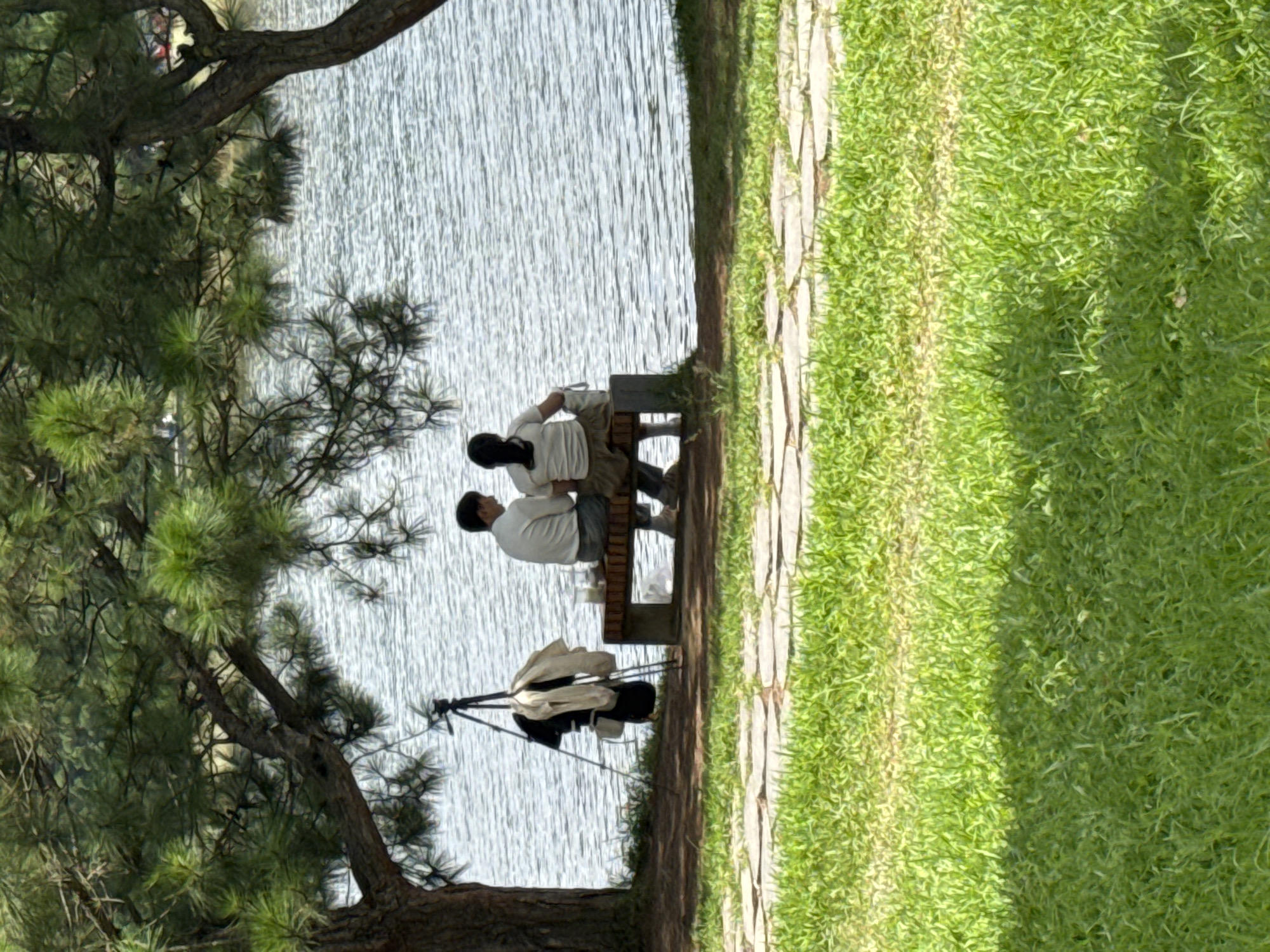 Two individuals, a man and a woman, are seated on a bench by a lake, facing away from the camera. They are positioned under the shade of a pine tree, with its branches extending over them. To the left of the bench, a tripod with a camera is set up, and several articles of clothing are draped over it. The lake's surface is rippled, suggesting a slight breeze. In the foreground, a patch of well-maintained green grass is visible, with a stone pathway running horizontally across it. The scene is likely in Da Lat, Vietnam, a city known for its pine forests and lakes.
