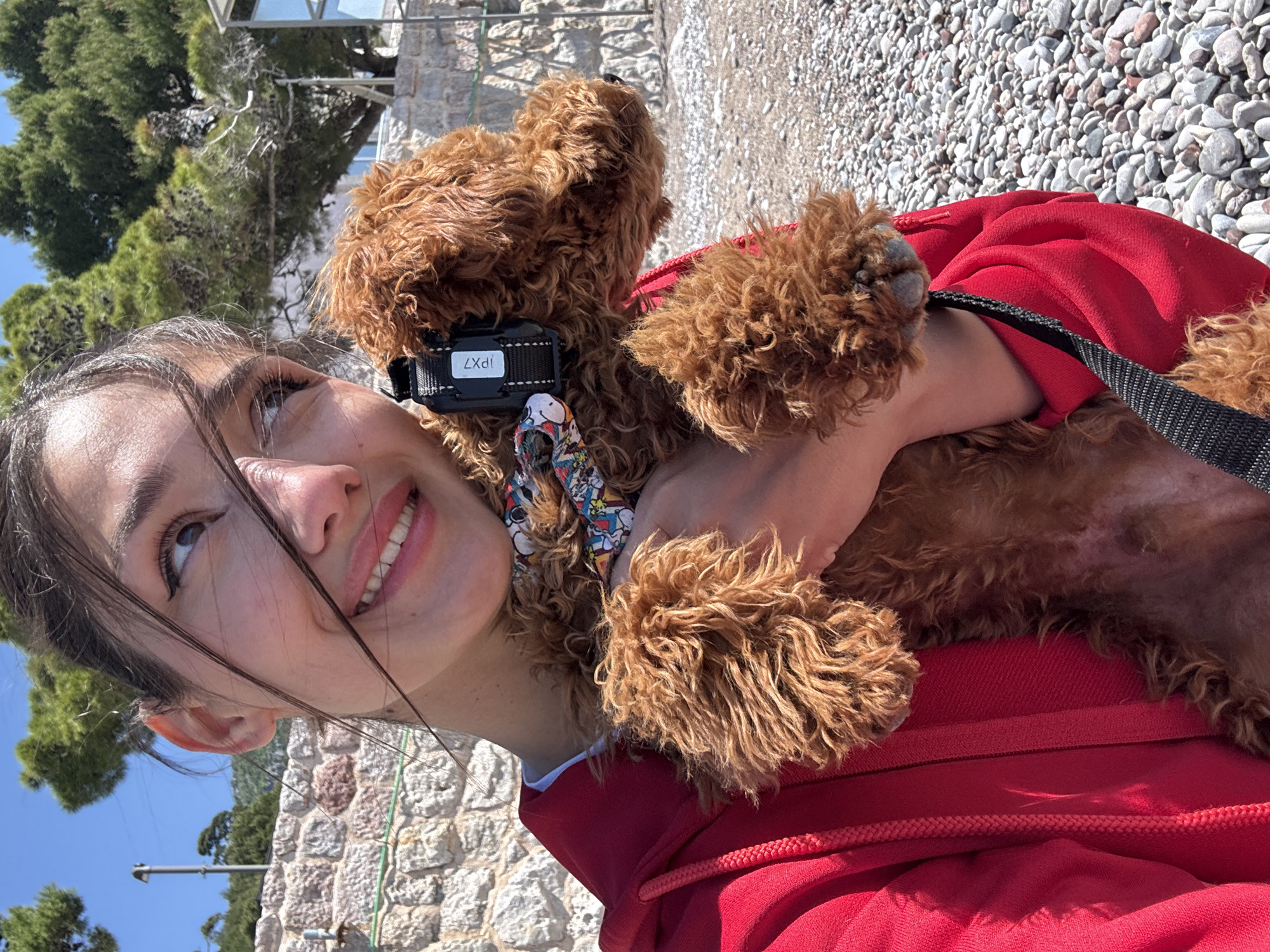 A young woman is depicted holding a small, curly-haired brown dog outdoors on a bright, sunny day. The image is oriented with the subjects leaning to the right. The woman, with dark hair, is smiling broadly, looking upwards and slightly to the left, conveying a cheerful and content expression. She is wearing a vibrant red hoodie.
The dog, with reddish-brown curly fur, is cradled in her arms. It wears a colorful, patterned bandana around its neck and a black collar. Attached to the collar is a black device with the text "IPX7" clearly visible on its side.
The background features a pebbly ground, suggesting a beach or a rocky path, common in coastal areas like Zankovići, Montenegro. Beyond the subjects, green trees, possibly pine or cypress, stand against a clear blue sky. Parts of a light-colored stone wall and a distant building structure can also be seen. The bright illumination indicates it is daytime. The scene evokes a pleasant, relaxed moment between the woman and her pet.