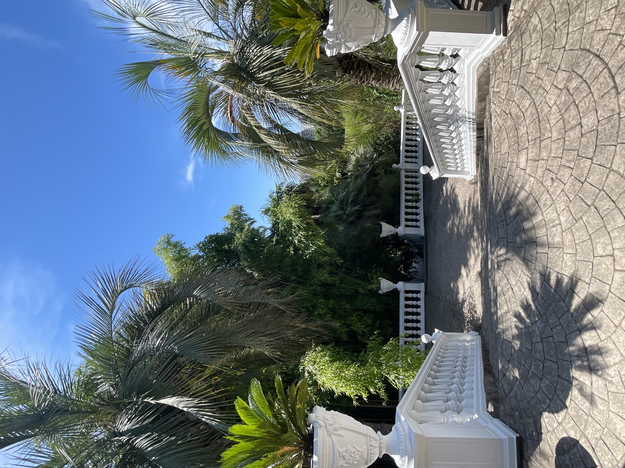 A set of ornate white balustrades flanks a wide stone staircase in the foreground. The stairs are paved with circular patterns of grey stones, and palm tree shadows are cast across them. Two large white urns, each containing a cycad plant, stand on either side of the balustrade at the top of the stairs. Beyond the staircase, a lush garden is visible, filled with various palm trees and dense green foliage. The sky above is a clear, bright blue with a few wispy white clouds. This scene is located in the city of Sirius, Russia.