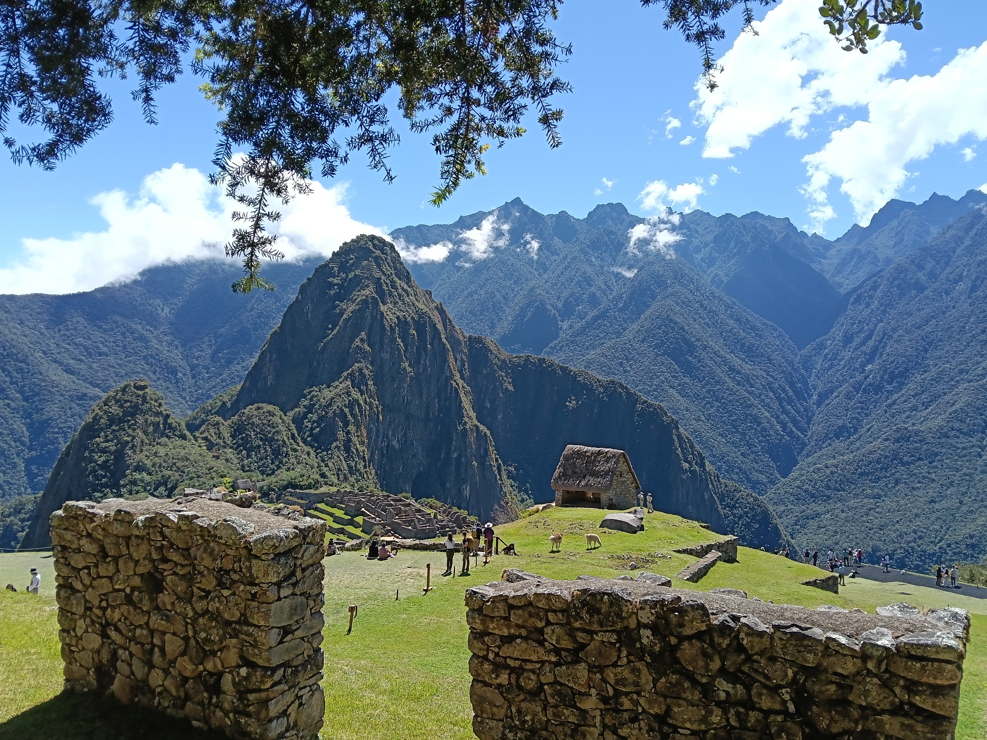 The image depicts the iconic Incan ruins of Machu Picchu, located in Peru. The ruins are nestled in a mountainous landscape, with a backdrop of tall, forested peaks partially obscured by clouds. In the foreground, a low stone wall, constructed of irregularly shaped rocks, frames the view. Beyond the wall, a grassy area slopes gently upwards, dotted with scattered ruins and a few small buildings with thatched roofs. Several people are visible, spread throughout the scene, observing the ruins and interacting with the environment. The sky is blue with scattered white clouds, and tree branches overhang the scene.