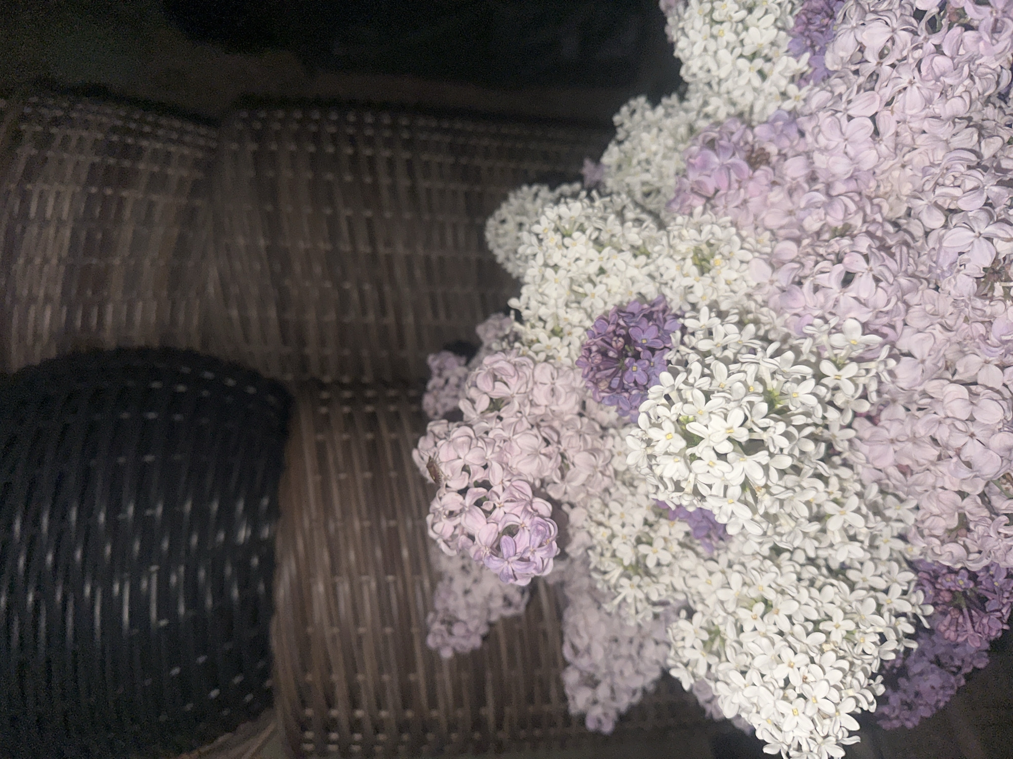 A top-down shot depicts a cluster of lilac flowers in hues of white and purple. The flowers rest on a woven surface, possibly wicker or rattan, with a black basket to the left. The scene's location in Poltava, Ukraine, cannot be confirmed from the image. No people, specific actions, or interactions are visible.