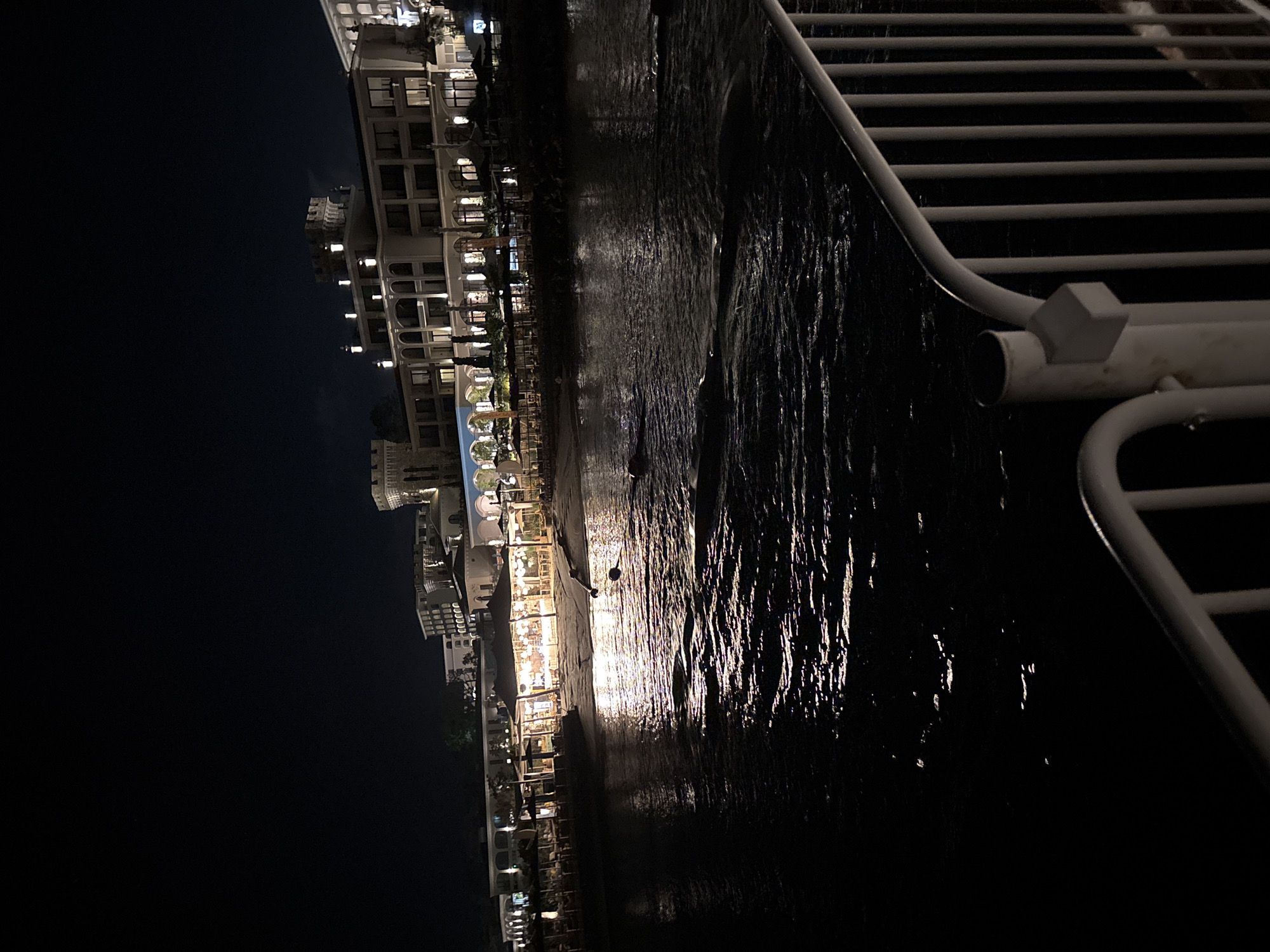 This is a nighttime photograph of a beachfront hotel or resort in Varna, Bulgaria, situated along the Black Sea coast. In the foreground, a white metal railing is visible, suggesting the viewpoint is from a balcony, terrace, or promenade. The railing is illuminated by ambient light and casts a shadow on the dark surface below.
The middle ground features the dark, rippling surface of the Black Sea, reflecting the lights from the shore. Small whitecaps and wave patterns are discernible on the water. Two buoys are partially submerged in the water, connected by a rope or line. The shoreline is a dark band, with the lights of a beachfront establishment creating a warm glow.
The background is dominated by a large, multi-story building, likely the hotel or resort. It is brightly illuminated, showcasing architectural details such as arched windows, balconies, and decorative towers or turrets resembling those of a castle. The building's facade is light-colored, and numerous windows are lit from within. Trees and vegetation are visible in between the buildings and along the shoreline. The sky above is dark and clear, indicating nighttime. The overall impression is one of a lively, well-lit establishment against the dark expanse of the sea and sky.