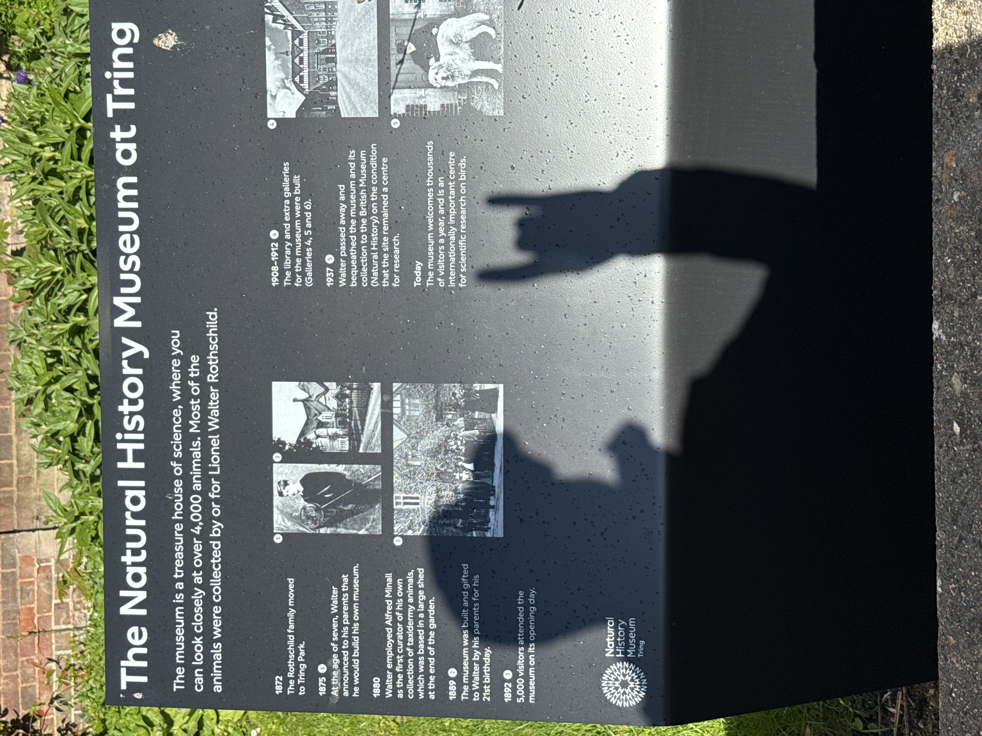 This is an eye-level, medium shot of a black informational sign that reads, "The Natural History Museum at Tring." The sign is positioned outdoors next to greenery and a brick path, with a small section of concrete to the right. The city of Dacorum, United Kingdom, is the city in which Tring resides. The sign details the history of the museum, from its founding in 1872 to the present day. The lower right corner has the Natural History Museum Tring logo. A blurred shadow of a person's hand is cast across the sign's surface.