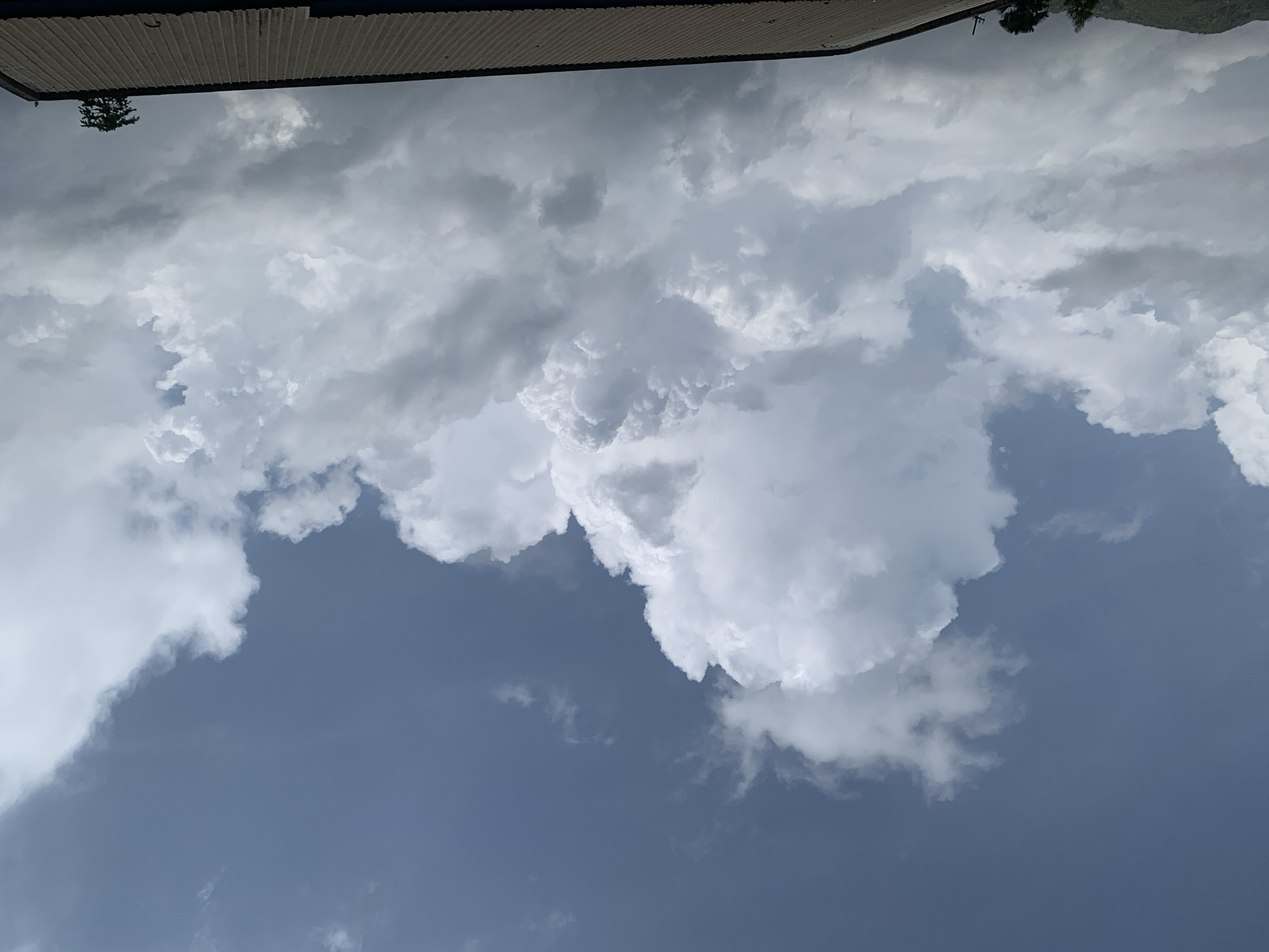 A wide shot captures a dynamic sky above the city of Kuru Karama, Nigeria. The upper portion of the image is dominated by a vast expanse of blue sky, interspersed with dramatic, billowing white cumulus clouds. These clouds vary in size and density, with some appearing bright and fluffy, catching the sunlight, while others are darker and more foreboding, suggesting potential rain. A prominent cluster of large, textured clouds occupies the central and right portions of the sky, displaying a sense of depth and volume.
In the lower part of the frame, the corrugated metal roof of a building runs horizontally across the image. The roof appears weathered and is angled slightly upwards towards the right. To the far left, a gentle, tree-covered hillside is visible, hinting at the natural landscape surrounding the urban area. A lone, small tree stands on the right edge of the roof, its dark silhouette a stark contrast against the bright clouds. The overall impression is one of an overcast but bright day with dramatic cloud formations over a partially visible cityscape.