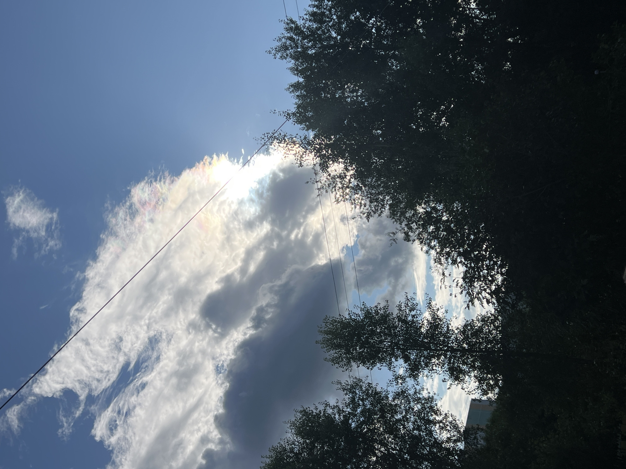 The image captures a sky with dynamic cloud formations, a prominent power line stretching diagonally across the frame, and silhouetted trees in the foreground. A portion of the sky exhibits a prismatic effect, suggesting iridescence within the clouds, possibly indicating nacreous clouds or cloud iridescence due to diffraction of sunlight. The lower portion of the image is dominated by the dark silhouettes of dense foliage from trees and shrubs, obscuring much of the ground and any immediate urban features. In the far left background, a sliver of a light-colored building with a patterned facade is visible above the treeline, providing a faint hint of an urban or suburban environment. The scene appears to be set during daylight hours, with the sun partially obscured by clouds. No people or specific actions are depicted. The overall impression is one of natural atmospheric phenomena juxtaposed with man-made infrastructure and vegetation. Given the context of Ulyanovsk, Russia, this scene could represent an outdoor view from a residential area or park on the outskirts of the city, where the sky and natural elements are prominent.