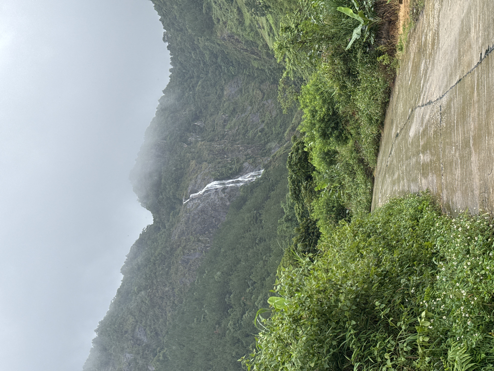 The image shows a landscape with a mountain and greenery, likely located near Hồ Thầu, Vietnam. The mountain is covered in lush vegetation and is partially shrouded in mist. A waterfall cascades down the mountain's face. To the right of the mountain, there is a concrete structure or path, with more greenery bordering it. The overall scene is verdant and appears to be taken on a cloudy day.