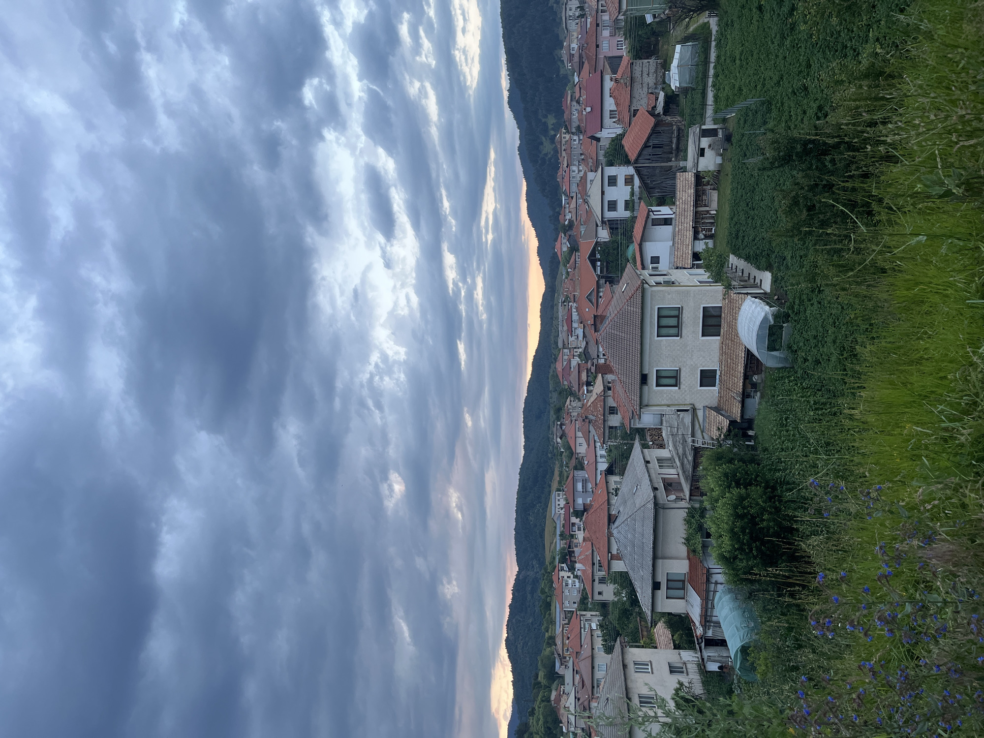 The image depicts a rural village scene in Barutin, Bulgaria, under a cloudy sky with hints of sunset light breaking through. The foreground is dominated by tall, lush green grass and wildflowers, with some purple flowers visible. Behind the vegetation, a collection of houses with red-tiled roofs and stucco walls stretches across the frame. The houses vary in architectural style and size, some appearing older with exposed stone or wood elements, while others are more modern. Numerous greenhouses, some covered in clear plastic sheeting, are scattered amongst the properties, indicating agricultural activity. In the background, rolling hills covered in dense green trees form a natural backdrop to the village. The sky is filled with dramatic, dark gray clouds, creating a somewhat moody atmosphere. The overall impression is of a quiet, residential area nestled within a picturesque natural landscape.
