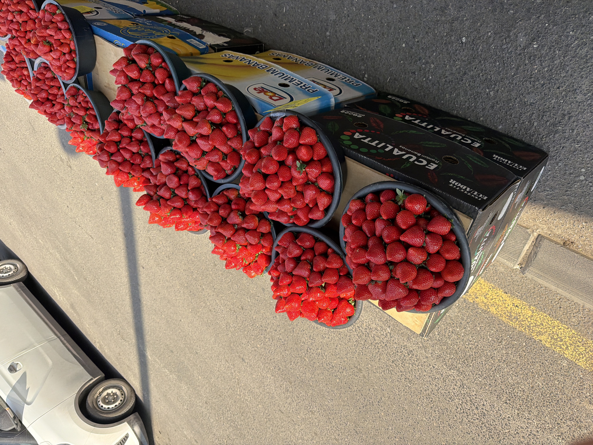 The image displays an outdoor market scene, likely a roadside stall in Yerevan, Armenia, featuring an abundance of fresh strawberries. Numerous black, shallow, heart-shaped or kidney-shaped plastic bowls are filled to the brim with vibrant red, ripe strawberries, arranged in several rows on a low display surface.
Behind the strawberry display, several cardboard boxes are stacked. Some lighter-colored boxes clearly show the "Dole" logo and the text "PREMIUM BANANAS." Darker boxes are also visible, labeled with "ECUALITTA Premium Bananas from ECUADOR," with "ECUALITTA" and "ECUADOR" prominently featured on their sides.
The setting is on an asphalt surface, possibly a street or a paved market area. A bright yellow painted line runs across the asphalt on the right side of the frame, adjacent to a concrete curb. On the far left, the front part of a light-colored vehicle, possibly a white or silver car, is partially visible. The scene is illuminated by strong natural daylight, indicated by clear shadows cast on the ground, suggesting a sunny day. No individuals are visible in the photograph, but the arrangement of the produce implies a commercial selling activity.