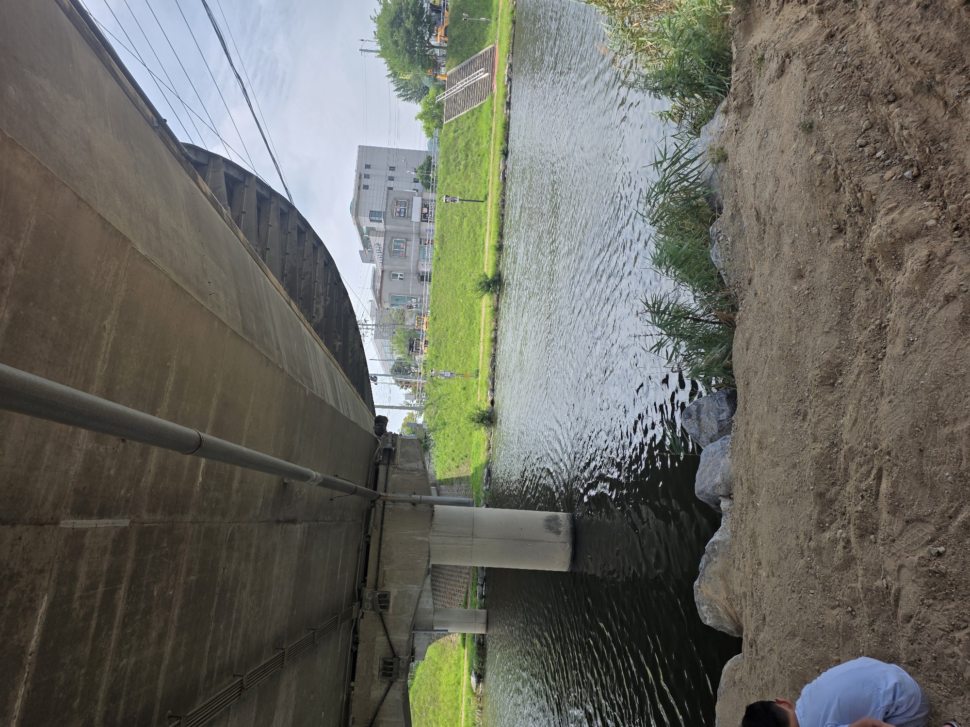This image depicts the underside of a concrete bridge spanning a canal in Anseong-si, South Korea. The canal water exhibits ripples, suggesting a gentle current. The canal banks are covered in green grass, with a few scattered rocks visible along the edge. On the far bank, a multi-story building with windows and a signage is present, situated behind a grassy embankment. A set of stairs leads up the embankment from the canal level towards the building. Several trees are also visible on the far bank. In the foreground, a sandy area is present with some larger rocks and vegetation. A young person wearing a light blue shirt is crouching on the sandy bank, facing away from the camera and towards the canal. The sky above is cloudy.