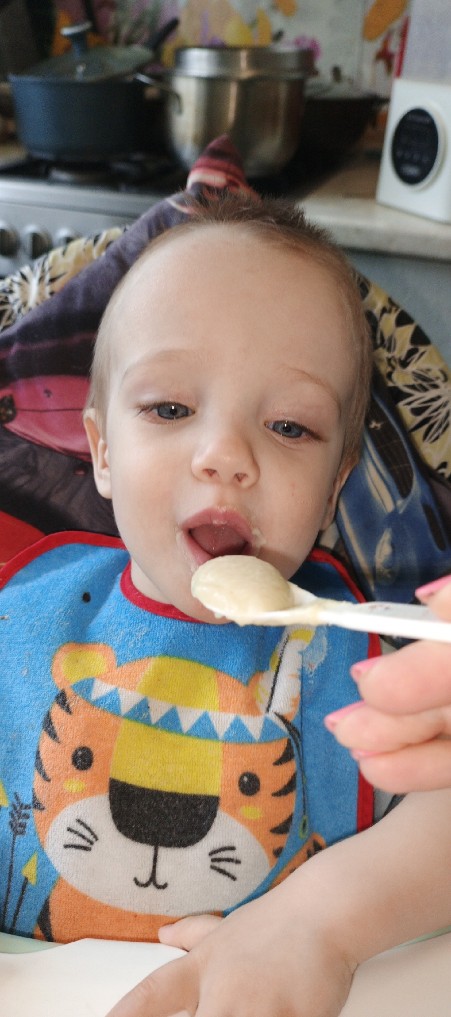 A fair-skinned baby with blue eyes is being fed from a white plastic spoon. The baby is wearing a bib with a cartoon tiger on it. A woman's hand, with pink fingernails, holds the spoon filled with a beige-colored puree near the baby's open mouth. In the background is a kitchen with stainless steel pots on a stove. The scene is indoors in the city of Chaikovsky, Russia.