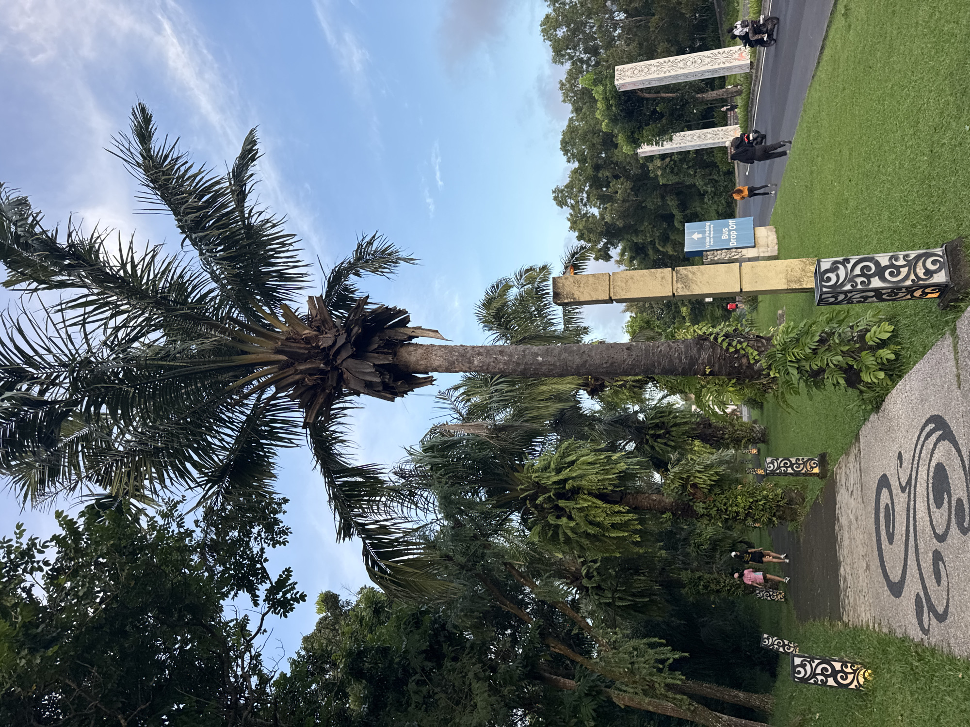 The image captures an outdoor scene, likely a landscaped area or park, under a partly cloudy, light blue sky. The setting features lush green grass, numerous trees, and a paved pathway.
In the foreground, a prominent tall palm tree stands with its fronds fanning out. Other smaller palm trees and dense green foliage are visible throughout the image, creating a tropical atmosphere. A light source, possibly the sun, is partially obscured behind the fronds of the largest palm tree.
A patterned concrete pathway, adorned with black, ornate scroll designs, stretches through the lower part of the scene. Two people are walking away from the viewer on this path; one wears a pink shirt and dark shorts, the other a black shirt and dark shorts.
Alongside the pathway and road, decorative square pillars or posts are strategically placed. Some are light-colored with intricate black scrollwork, while others are plain gold or tan blocks.
Further back, an asphalt road runs parallel to the pathway. Several people are visible on or near the road, some standing, and motorcycles are parked or moving. One person in an orange top stands near a blue sign. The blue sign, mounted on a gold block post, reads "Visitor Parking" with an arrow pointing right, and "Bus Drop Off."
The soft lighting suggests either early morning or late afternoon. The abundance of palm trees and tropical greenery is consistent with the provided location context of Kuta Selatan, Indonesia.