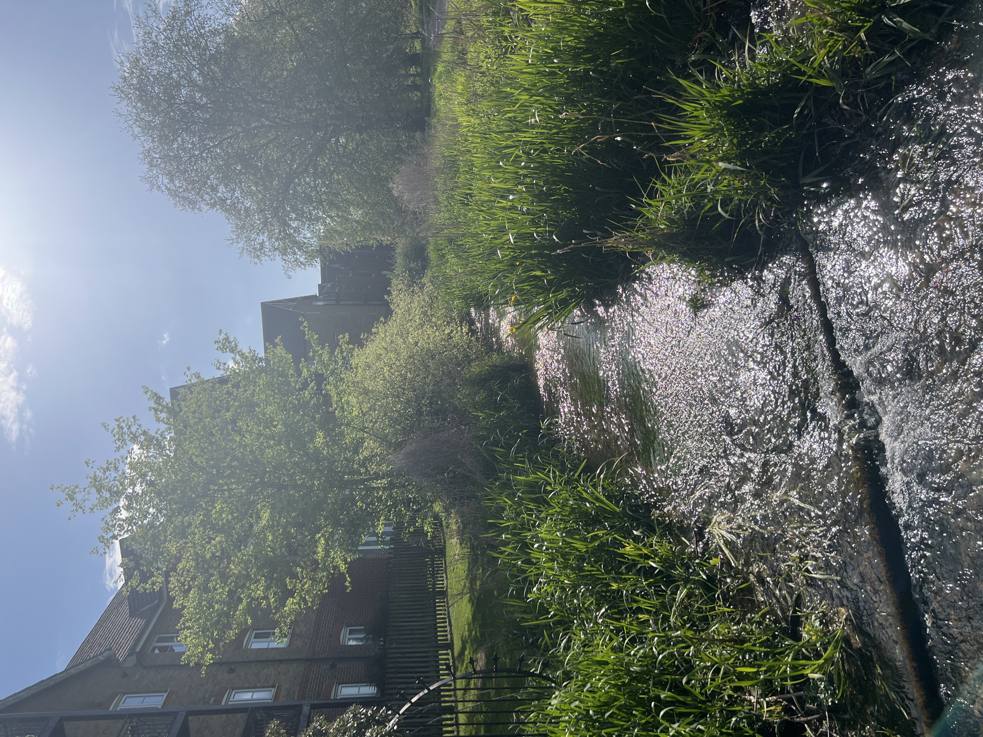 This vibrant, sunlit photograph captures a tranquil outdoor scene in High Wycombe, United Kingdom, taken during daytime under clear skies.
The central subject is a narrow stream or small river flowing from the background towards the viewer, its surface intensely shimmering with countless reflections of bright sunlight. Lush, vibrant green grass and reeds grow thickly along both banks of the waterway, with some blades appearing partially submerged or overhanging the sparkling water.
On the left side of the scene, behind the stream and vegetation, stand residential buildings constructed of red brick, featuring white-framed windows and dark roofs. A dark fence or railing is visible in front of these structures, providing a subtle boundary. Various deciduous trees with fresh green foliage are abundant throughout the image, obscuring parts of the buildings and contributing to the natural feel of the environment. More buildings are partially visible further in the background, nestled among dense trees.
The bright blue sky, visible prominently in the upper left, shows a strong sun flare, indicating a clear, sunny day, likely during late morning or early afternoon. A few wispy white clouds are scattered across the sky. There is no specific activity taking place, and no people are visible, lending a serene and peaceful atmosphere to this integration of urban architecture and natural riparian landscape. No visible text is present in the image.