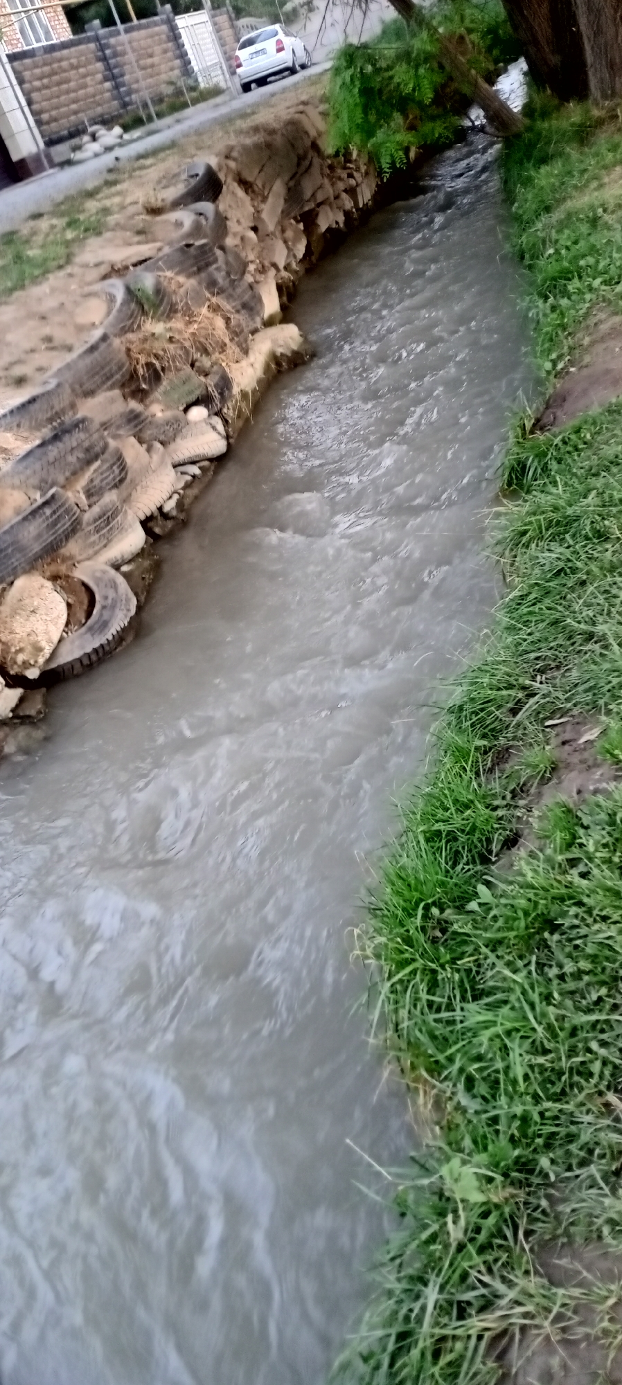 A medium-shot photograph captures a narrow, muddy stream flowing through an urban environment in Sokuluk, Kyrgyzstan. The stream is bordered on the left by a retaining wall made of stacked rocks and used tires, some of which are partially submerged in the water. Dry grass and dirt are visible amongst the tires. The right bank of the stream is covered with lush green grass. In the background, a white car is parked on a paved surface near a building with a brick facade and a white fence. Trees and foliage hang over the stream, casting shadows. The water itself appears murky and shows signs of moderate flow.
