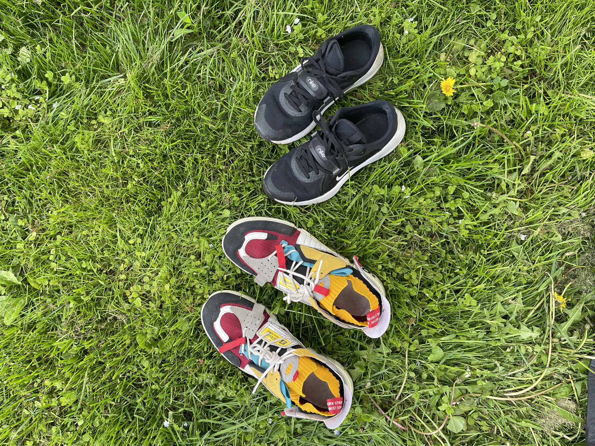 The image shows two pairs of athletic shoes laying on a patch of green grass. The top pair of shoes are black with white accents and a Nike logo, with the laces tied. The bottom pair of shoes are multicolored with a combination of red, gray, yellow, and white. The shoes are laying on a patch of grass that appears to be outdoors, with some small clovers and a dandelion visible in the grass. The location is unknown.