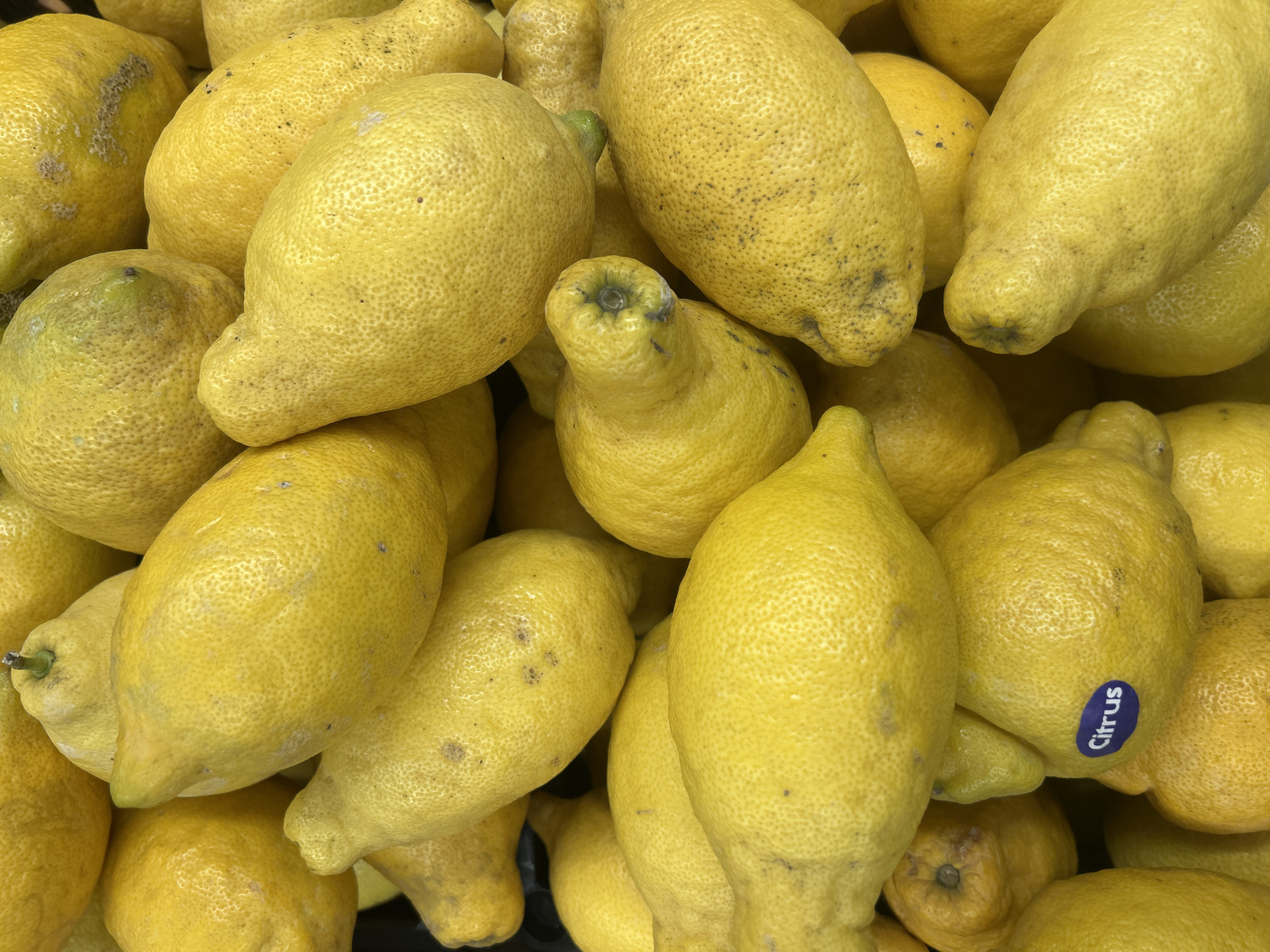 This is a close-up, overhead shot of a pile of bright yellow lemons. The lemons are irregular in shape and have a bumpy, textured skin. Some have small brown spots, and a few have green tips where the stem was attached. One lemon in the lower left has a small, blue circular sticker on it with the word "Citrus" in white letters. The background is dark and out of focus, suggesting a display or bin in a market. There are no people or other objects visible. The lighting is bright and even, highlighting the texture and color of the lemons. It is impossible to determine the specific location within Bila Tserkva, Ukraine from the provided image.