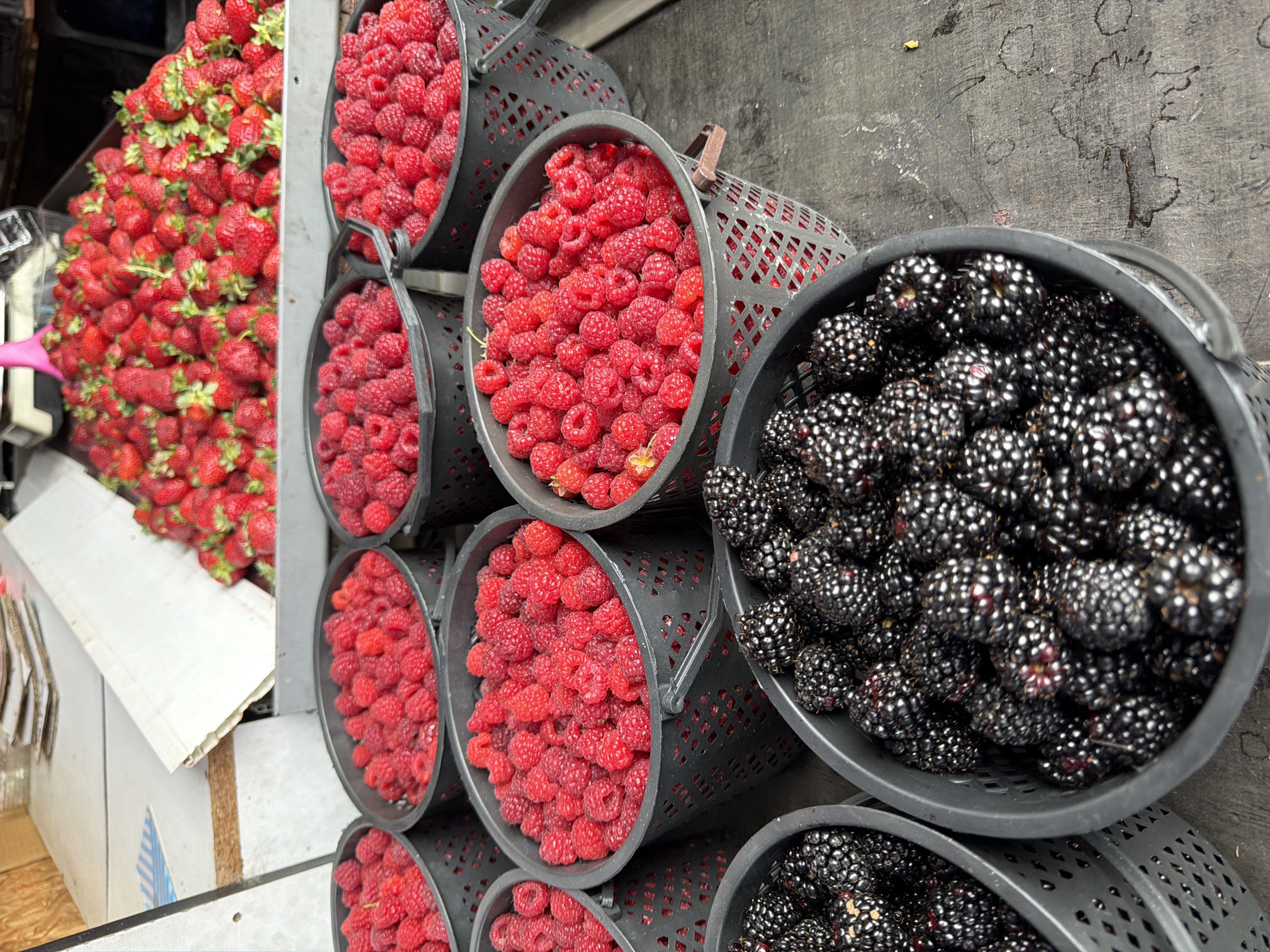 The image shows an outdoor market stall in Tbilisi, Georgia, featuring an abundance of fresh berries. In the background, a large pile of red strawberries is visible. In the foreground, several black plastic baskets are filled with ripe raspberries and blackberries. The baskets are arranged in rows, creating a visually appealing display of the fruit. The ground beneath the stall appears to be made of a dark, textured material, possibly wood or concrete. The overall impression is one of a vibrant and bountiful harvest.