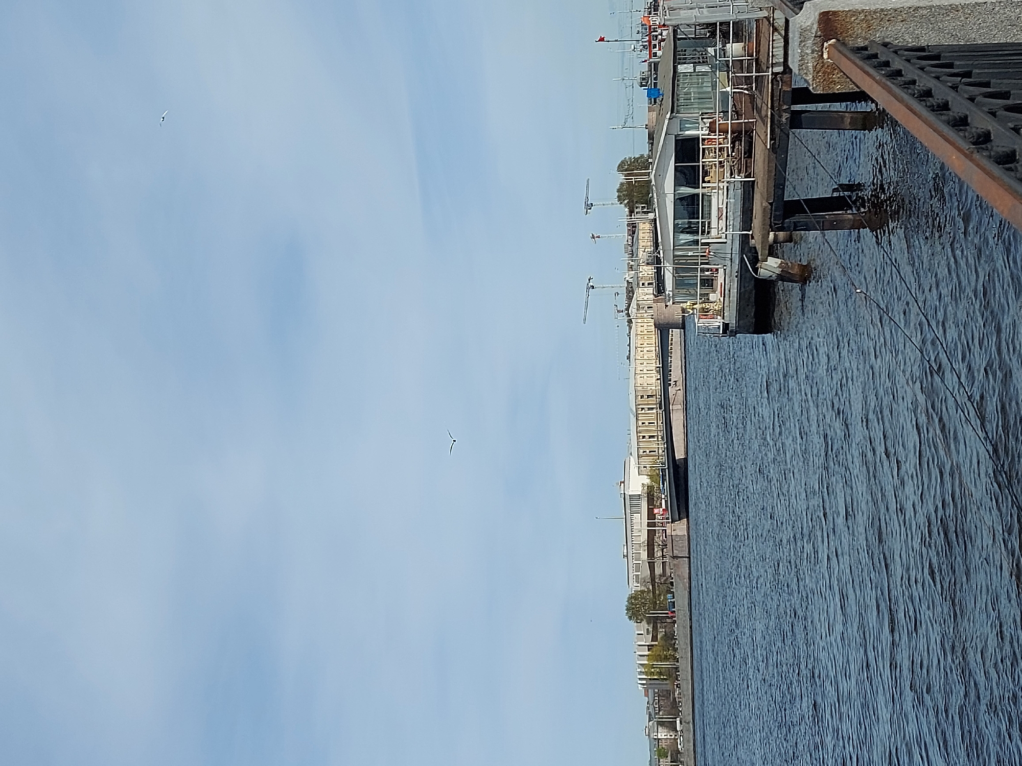 A horizontal daytime shot depicts a waterfront scene, most likely in Saint Petersburg, Russia, given the architecture and waterfront construction. The sky, occupying approximately half of the image on the left, is pale blue, with a single bird in flight. To the right of the sky is a row of buildings along the water. Several construction cranes are visible, indicating ongoing development in the area. Closer to the viewer, there's a pier or platform extending into the water, with a building on it that includes glass walls. A railing runs along the very right edge of the frame. The water reflects the sky, adding to the blue tones in the image.