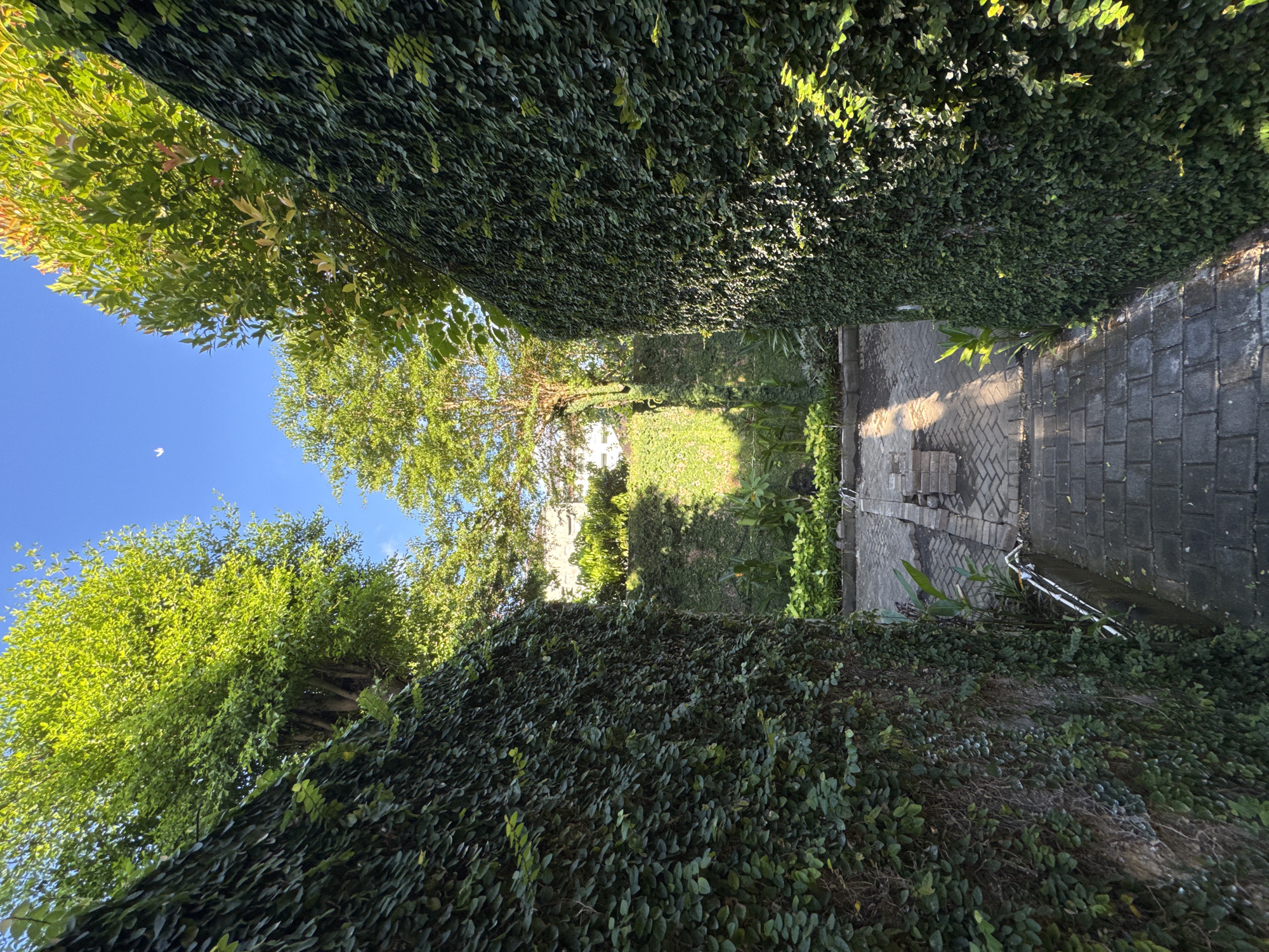 The image presents a narrow walkway or corridor in an outdoor setting within Kuta Selatan, Indonesia, characterized by dense green vegetation. Walls of climbing ivy line both sides of the walkway, suggesting either a well-maintained garden or a passage through a natural, overgrown area. The path itself is paved with gray brickwork. Overhead, trees and foliage allow glimpses of a bright blue sky, indicating a sunny day. Further down the corridor, sunlight illuminates sections of the path, creating a contrast of light and shadow. The overall impression is one of lush greenery and a secluded, possibly urban-adjacent natural space. The absence of people suggests a quiet, undisturbed moment.