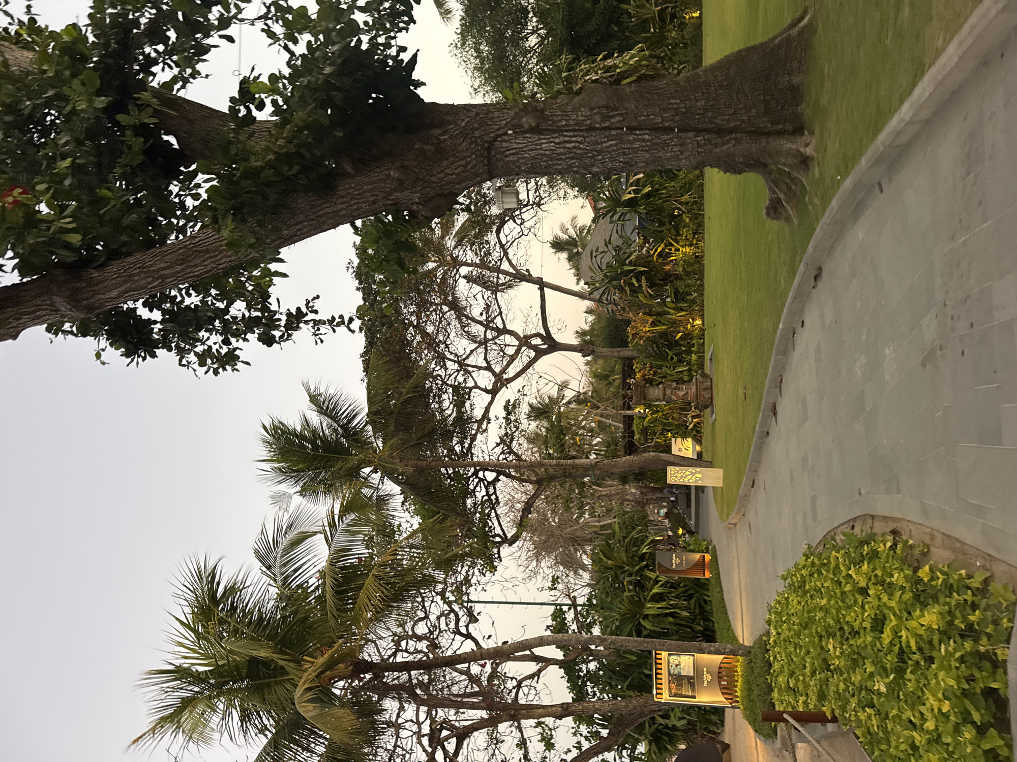 The image depicts a pathway curving through a well-maintained garden area, likely within a resort or hotel complex in Kuta Selatan, Indonesia. The pathway is paved with large, grey rectangular stones and bordered by lush green foliage on the left and a neatly manicured lawn on the right. Towering palm trees and other tropical vegetation fill the background, with a large, mature tree with a thick, textured trunk dominating the right side of the frame. The sky above is a soft, overcast grey, suggesting either early morning or late evening light. In the mid-ground, there are illuminated signs and decorative lights, hinting at an established, potentially tourist-oriented location. The overall atmosphere is tranquil and tropical.
