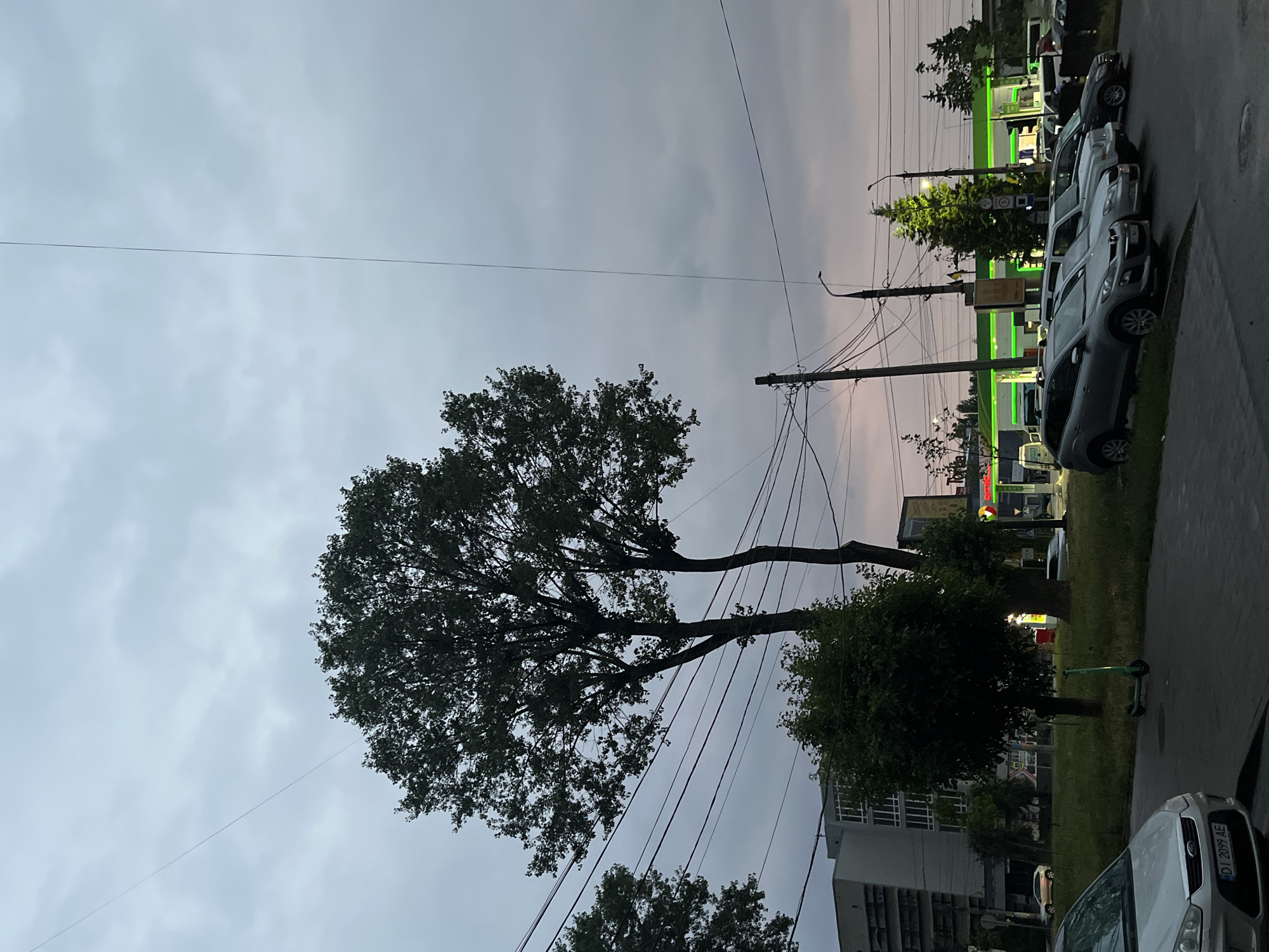 The image captures a street scene in Chernivtsi, Ukraine, at dusk. The sky is overcast with a hint of pink light from the setting sun. A tall tree with dense foliage dominates the center-left of the frame, with several utility wires crisscrossing the sky around it. To the left, a multi-story building with a modern facade stands. In the foreground, a paved sidewalk borders a grassy area where a green electric scooter is parked. Across the street, a row of cars is parked, and beyond them, a brightly lit gas station with green accents is visible. The overall atmosphere is urban and subdued, typical of a city transitioning into evening.