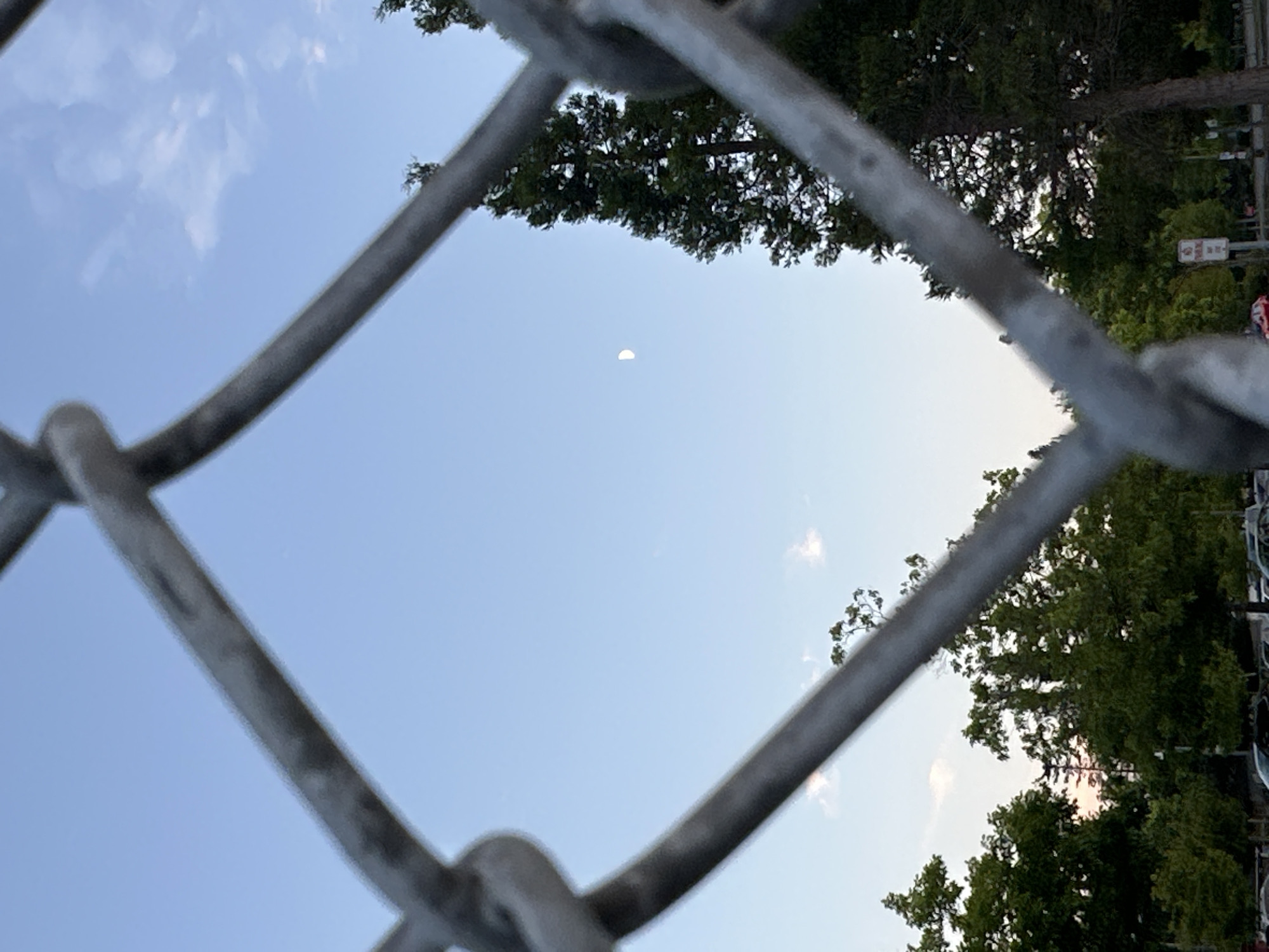 A half-visible crescent moon is visible in a clear, pale blue sky. In the foreground, a chain-link fence obstructs the view of lush green trees and a parking lot filled with cars. The trees vary in size and density, with some appearing taller and more slender than others. A few wispy clouds are scattered across the sky. The overall scene suggests an outdoor setting, possibly a park or a residential area, in the city of Everett, United States of America.