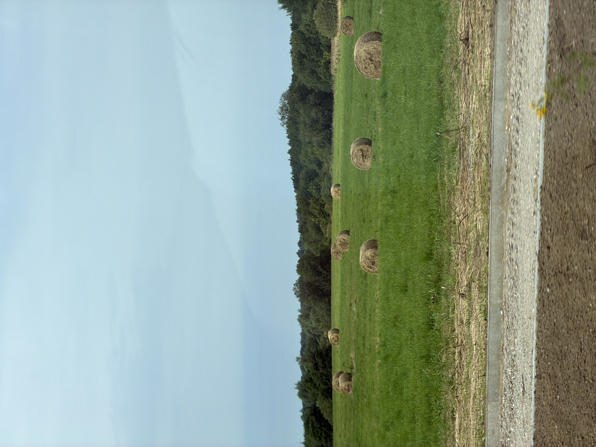 An overcast day in Yantarovka, Russia, with a wide view of a green, grassy field dotted with numerous round hay bales. The bales are arranged sporadically across the field. In the distance, a dense line of trees forms a dark green horizon. The foreground shows a strip of rough ground and a grey, paved edge. The sky is a pale, uniform blue with subtle cloud formations. There are no people or animals visible in the image.
