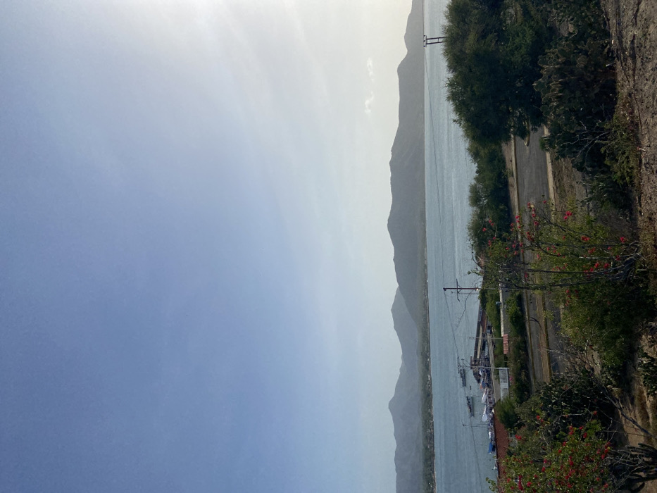 A scenic view showcases a body of water, possibly a lake or bay, bordered by a mountainous range in the background. The shoreline is lush with greenery, including trees, shrubs, and vibrant red flowering plants. A road parallels the water, with structures and boats visible near the water's edge. The sky is overcast, creating a muted color palette and adding to the serene atmosphere.