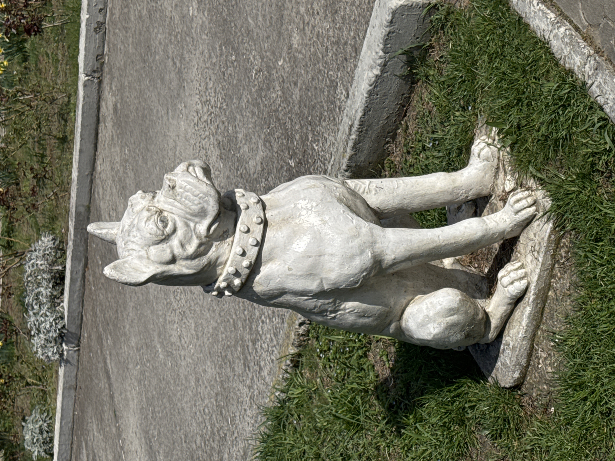 The image shows a white, concrete bulldog statue lying on its stomach in a grassy area. The statue has a studded collar and is positioned near a concrete pathway and curb. The background includes grass and some small plants. The overall setting appears to be an outdoor, possibly park-like, environment. While not explicitly stated in the image, the prompt requests the statue location of being in Anapa, Russia.
