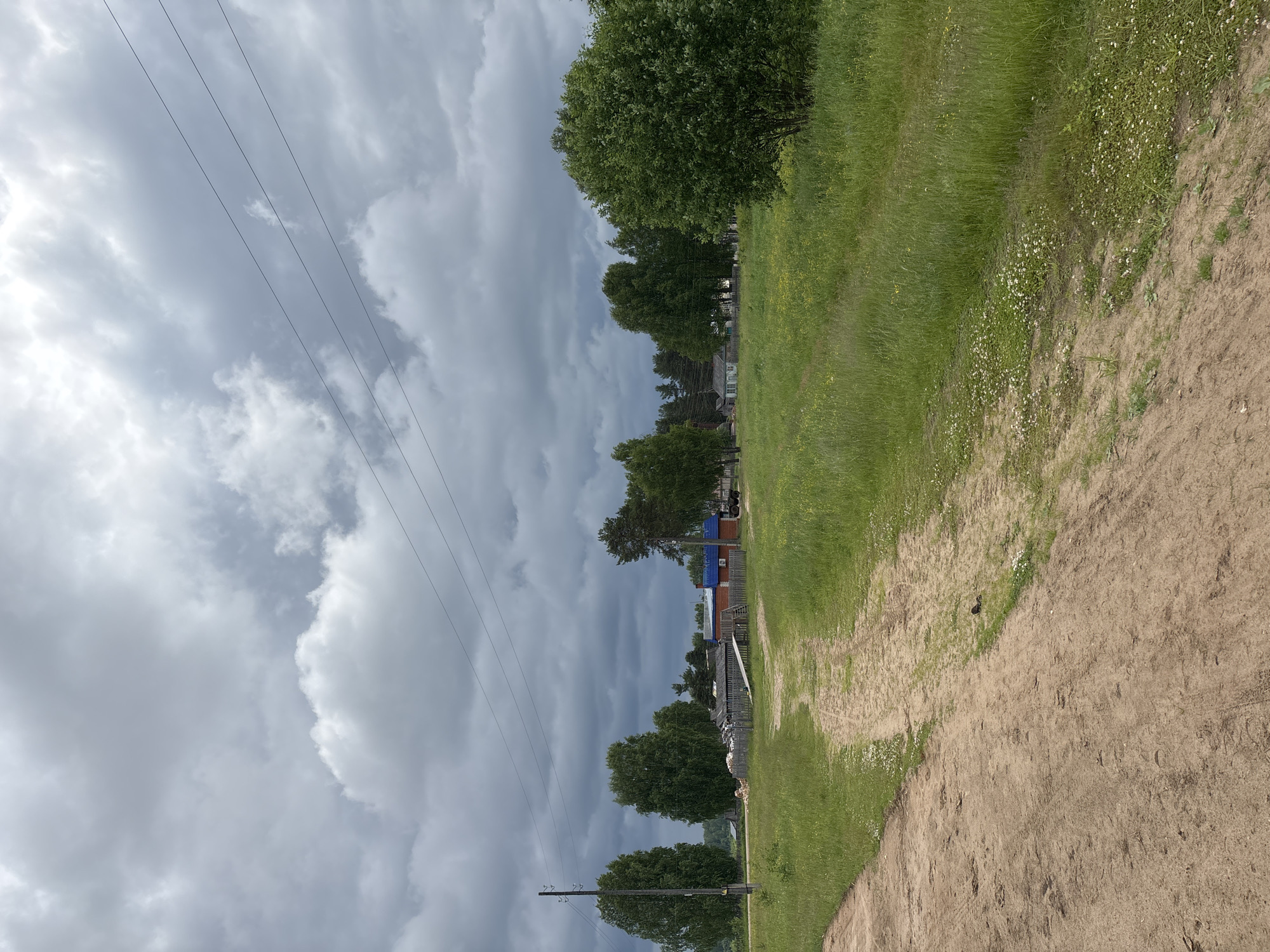 The image depicts a rural landscape with a dirt road leading through a grassy field towards a cluster of buildings. The sky is overcast with dark, heavy clouds. Several trees of various sizes are scattered throughout the scene, and a power pole with wires is visible on the left. In the middle ground, there is a small settlement with wooden fences, a red building with a blue roof, and other structures that appear to be houses or outbuildings. The overall impression is one of a remote, possibly somewhat neglected, rural area under a gloomy sky. The specific location in Kurgan, Russia is not identifiable from the image itself.