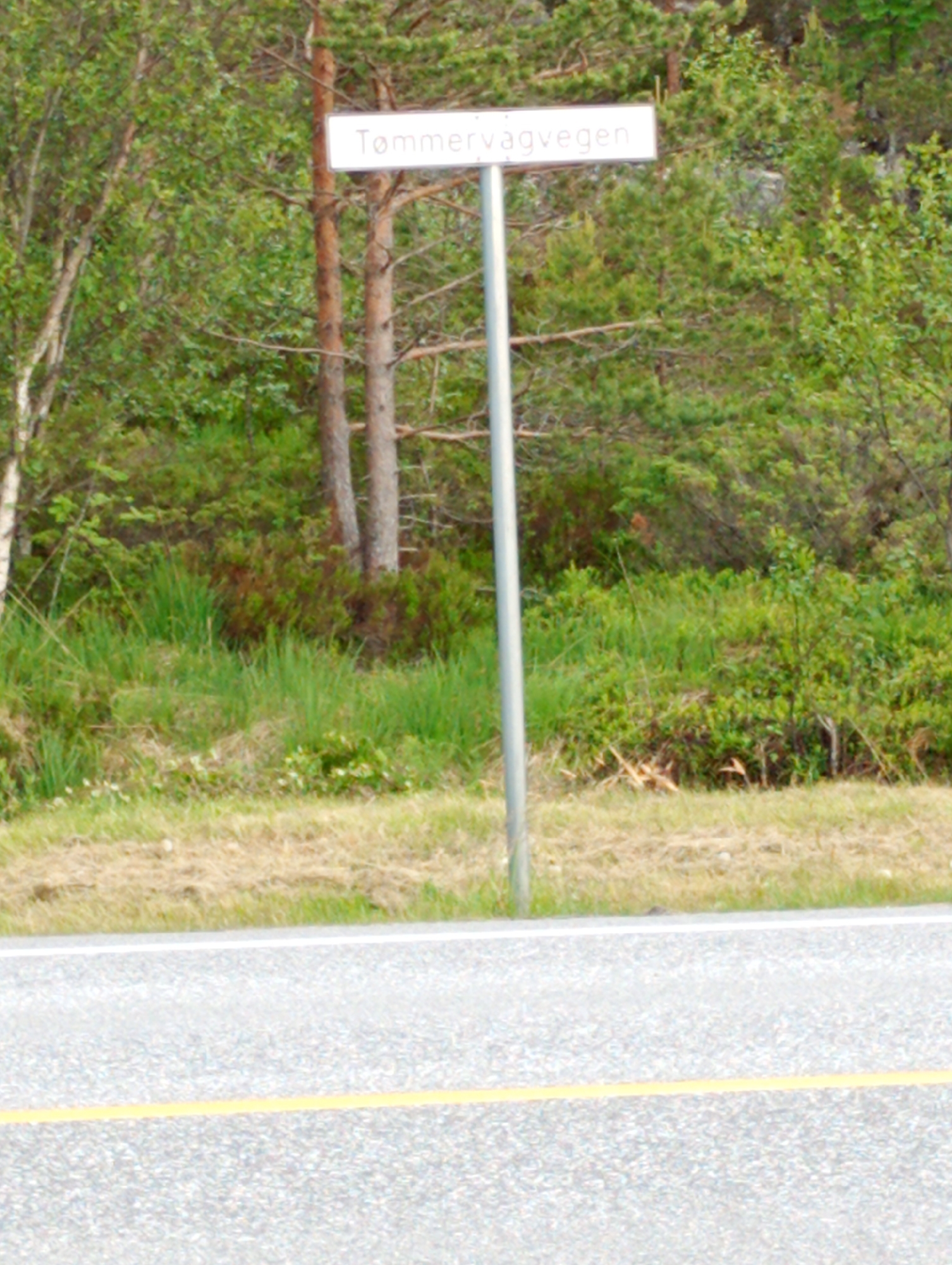 A street sign reading "Tømmerågsvegen" is posted on a metal pole in front of a dense forest. The sign is rectangular and white with black text. The pole is silver and stands in the middle of a grassy area. The forest behind the sign is filled with green trees and undergrowth. A paved road with a yellow line down the middle is visible in the foreground.