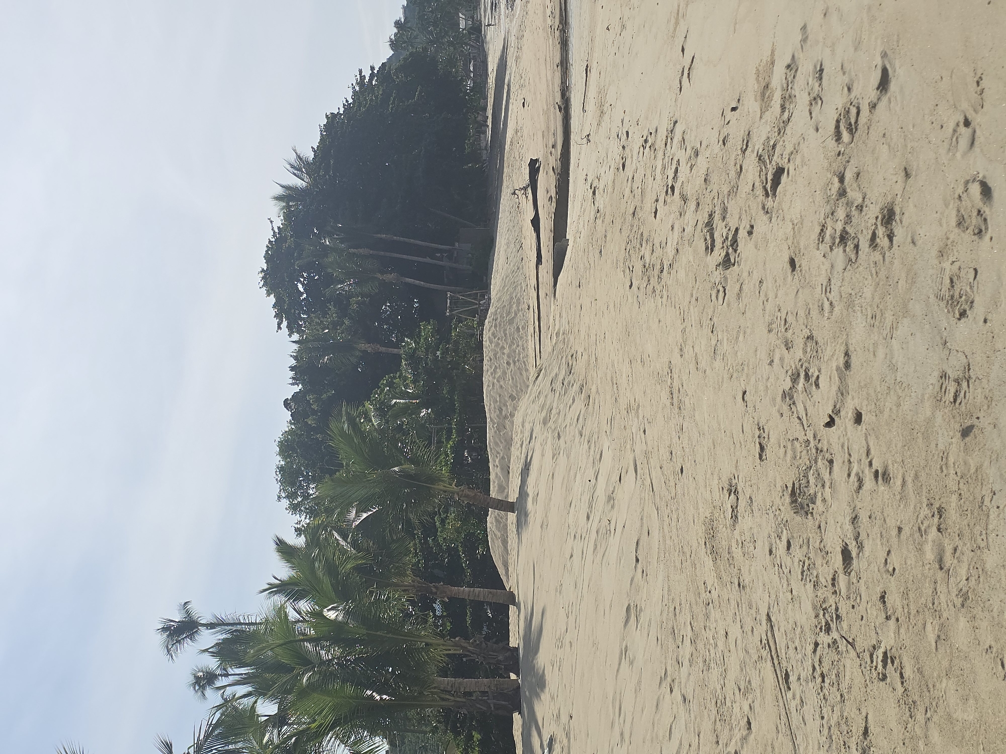 The image shows a beach in Baan Lamai, Thailand. The foreground is dominated by sand, with numerous footprints scattered across its surface. In the mid-ground, there are several sand dunes and some scattered debris, including a large piece of driftwood. A line of palm trees stands in front of a dense wall of lush green foliage that forms the backdrop of the scene. The sky above is a pale blue with a few wispy clouds. In the far distance, there are glimpses of buildings and a person walking on the beach.