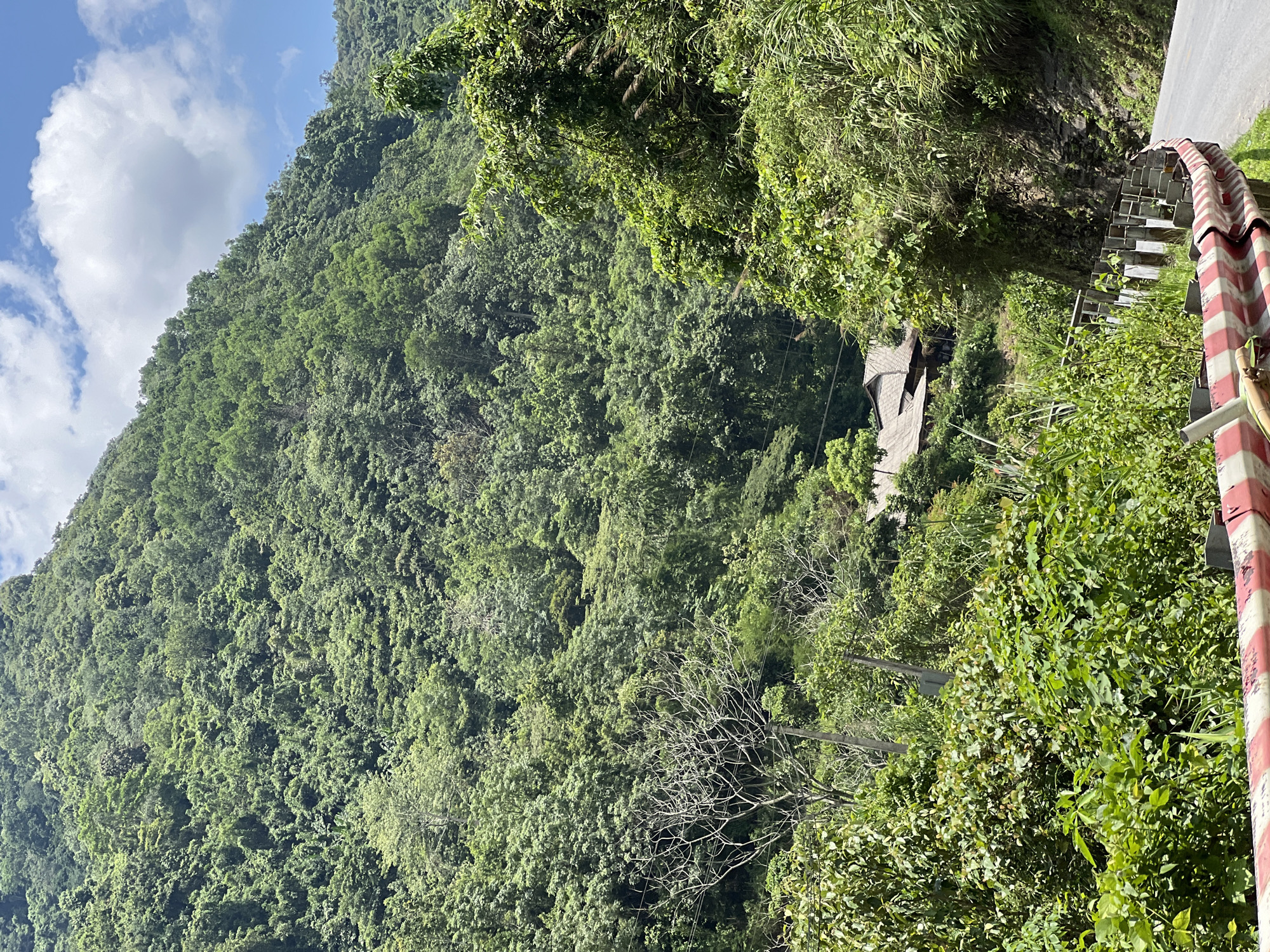 The image depicts a lush, green mountain slope covered in dense vegetation. A winding road is visible in the foreground, bordered by a white and red striped guardrail. A small cluster of buildings with dark, tiled roofs is nestled into the hillside amidst the trees, suggesting a rural or village setting. The sky above is a bright blue with scattered white clouds. The scene appears to be a view from a road looking up a mountainside in Minh Tân Commune, Vietnam.