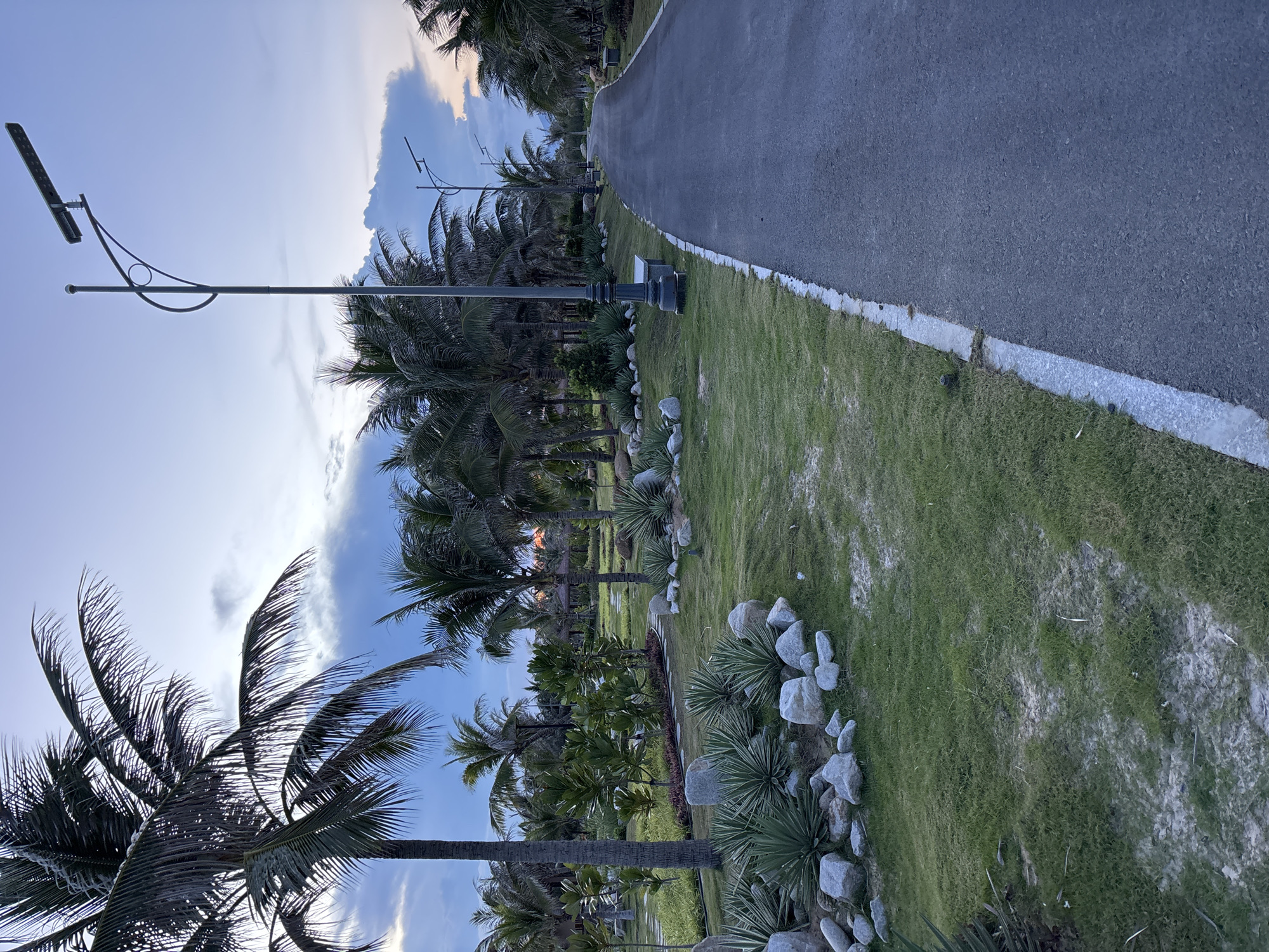A medium shot of a parkway lined with palm trees and a variety of vegetation in Bac Cam Ranh Ward, Vietnam, the parkway is well maintained. The day is sunny, with light clouds. A modern lamppost is visible on the left side of the image. The paved pathway suggests a space for pedestrians. Rocks adorn the vegetation lining the side of the parkway.