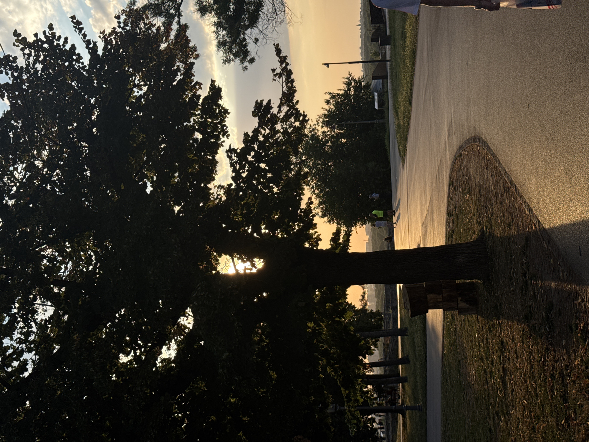 The image depicts a park scene in Belgrade, Serbia, during what appears to be late afternoon or early evening, indicated by the warm, golden sunlight casting long shadows. A large tree with dark foliage dominates the foreground on the left, with the sun partially visible through its leaves, creating a dappled light effect. A paved pathway curves through the park, with a grassy area to its left. Several smaller trees line the pathway in the background, and beyond them, a distant cityscape is visible. The sky is a mix of blue and clouds, illuminated by the setting sun.
In the mid-ground, several people are visible on or near the pathway. Two individuals in light-colored clothing are standing on the pathway, facing away from the camera. Another person, wearing a light shirt and dark shorts, is walking further down the path. A person in a white t-shirt and blue shorts is walking on the right side of the pathway. In the grassy area near the foreground tree, a stack of three cut logs is positioned.
The overall impression is one of a peaceful, urban park setting bathed in the warm light of sunset, likely a popular area for recreation or relaxation.