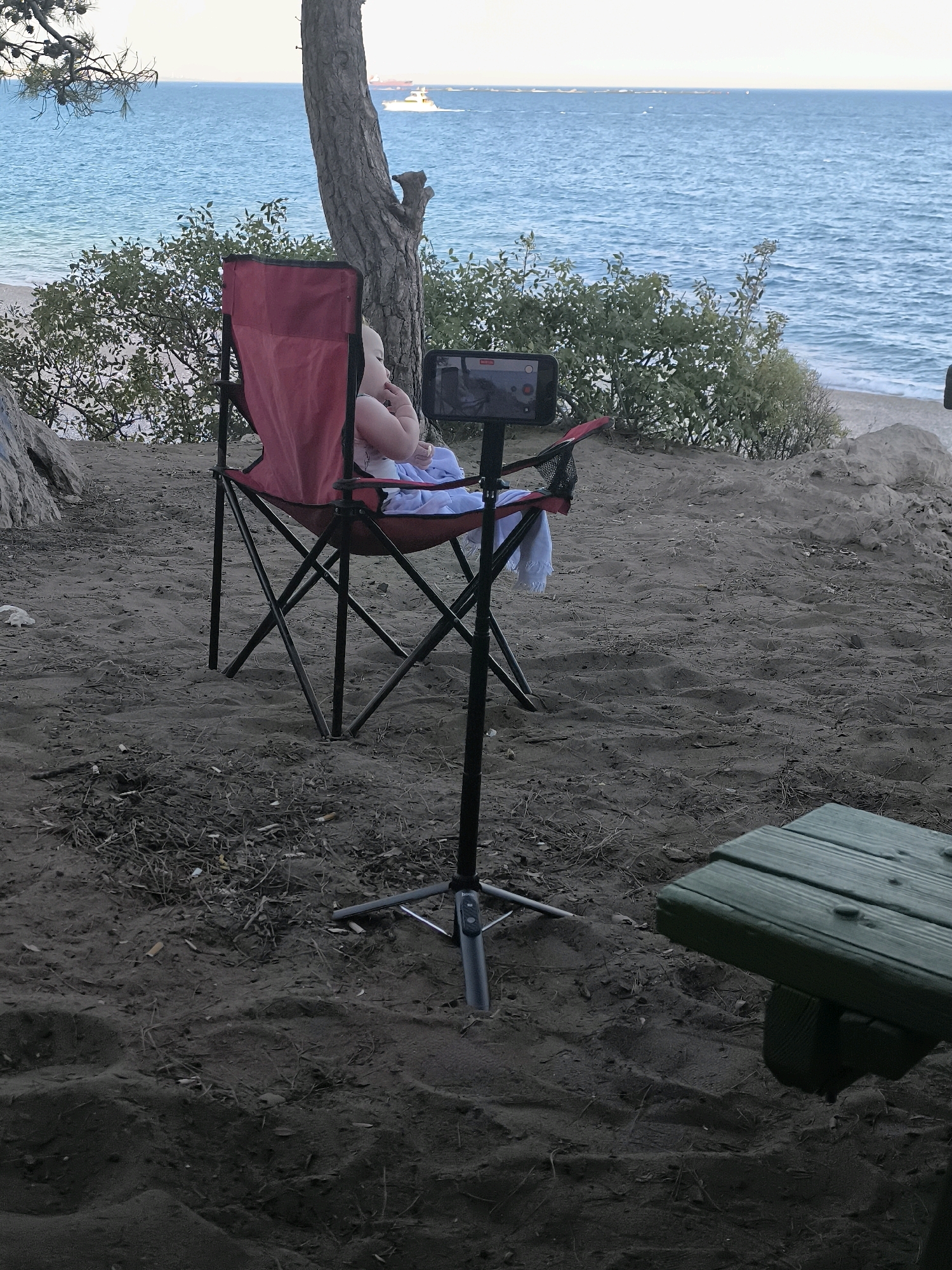 A wide shot captures a serene beach scene with a baby seated in a red folding chair, facing a smartphone mounted on a tripod. The baby is looking at the phone. Behind the chair, a large tree stands as a natural backdrop, with lush green bushes and the calm blue sea stretching to the horizon. A small white boat is visible in the distance on the water. The foreground is sandy with some scattered debris. To the right, a portion of a green picnic table is visible. The overall atmosphere is peaceful and relaxed.