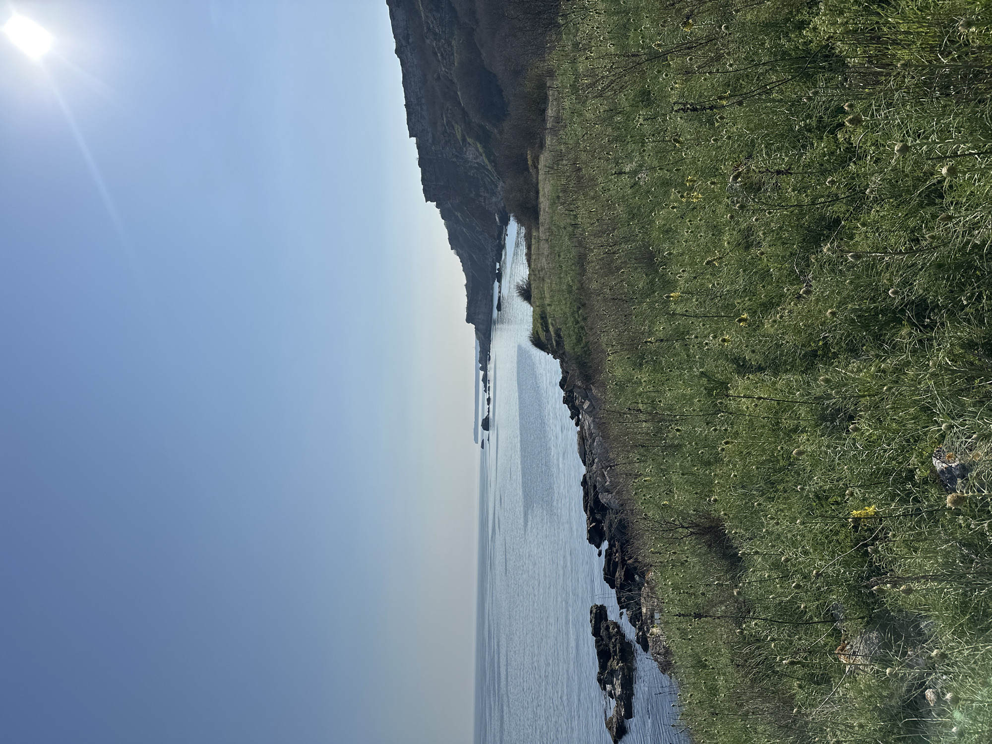 The image shows a coastal landscape in Sveti Nikola, Bulgaria. The scene consists of a calm body of water bordered by a rocky shoreline and a steep, vegetated cliff. The cliff is covered with green grass and low-lying plants, with scattered yellow flowers visible. The sky is clear blue with the sun shining brightly. Rocks are scattered along the shoreline, and the water's surface appears smooth. The vegetation extends inland along the cliff edge.