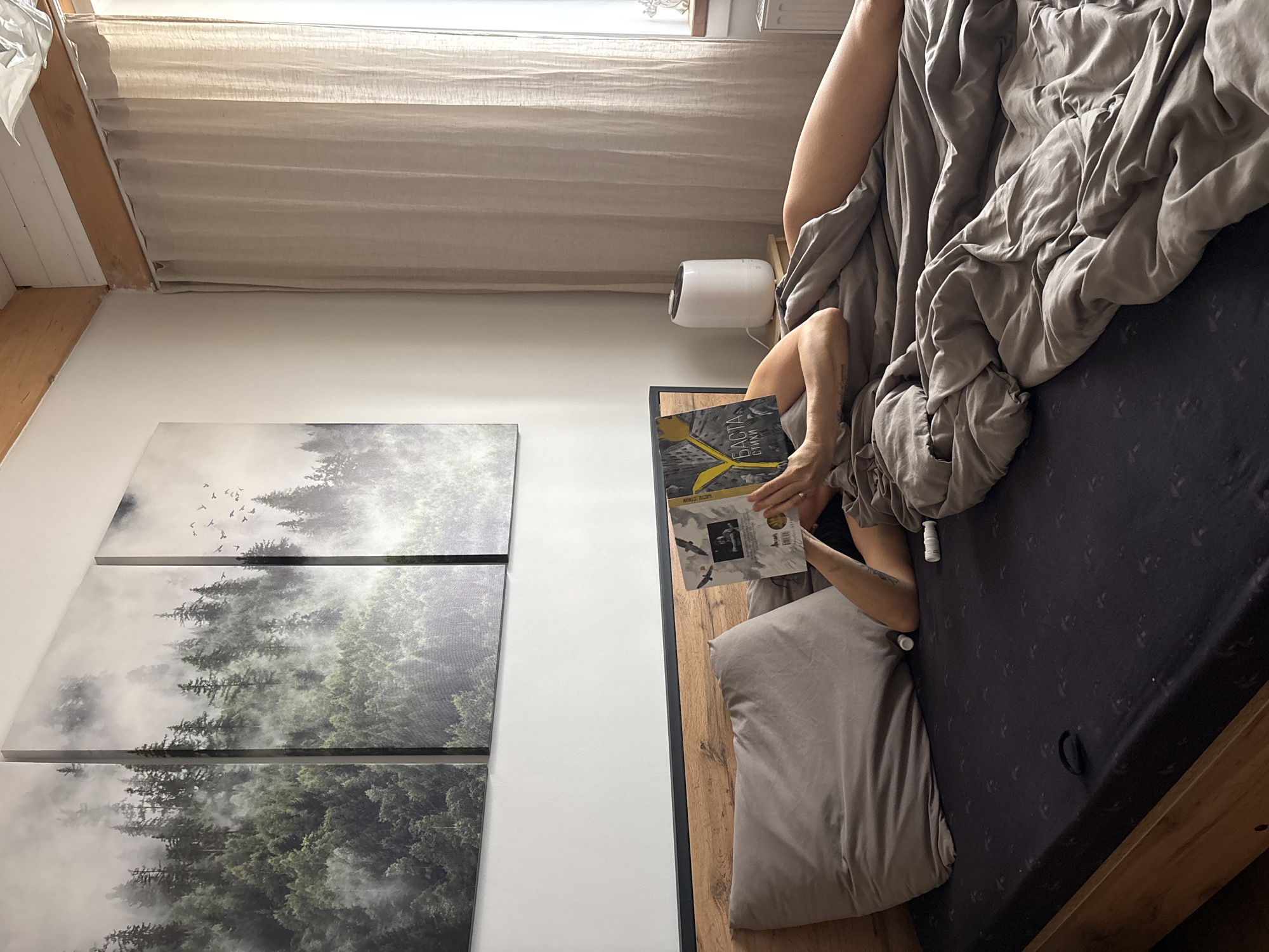 An overhead, rotated view shows a cozy bedroom scene in Chaikovsky, Russia. A person is lying in bed, partially visible, holding an open book and engrossed in reading. Their bare legs are visible, one partially covered by a light grey comforter or duvet that is rumpled across the bed. A light grey pillow is tucked under their arm.
The bed features dark grey fitted sheets with a subtle pattern and a wooden frame. On a wooden surface beside the bed, a small white cylindrical humidifier or air diffuser is placed. Near the person's hand on the bed, several small white bottles or containers are visible. A black loop or ring object rests on the dark grey sheet.
The wall next to the bed is white and adorned with three rectangular art pieces, hung vertically, depicting a misty forest scene with tall trees and a flock of birds flying in the upper section. Above the bed, a window with light-colored, pleated blinds allows soft, diffused daylight into the room. Wooden beams are visible in the upper corner of the room, suggesting a natural aesthetic.
The book the person is reading has a cover with a prominent yellow "X" design. Visible text on the book includes "БАСТА" (BASTA) and "СТИХИ" (POEMS) in Cyrillic, and in English, "Slightly Twisted" and "The Raven," along with an illustration of a raven. The overall atmosphere is tranquil, suggesting a relaxing moment of reading.