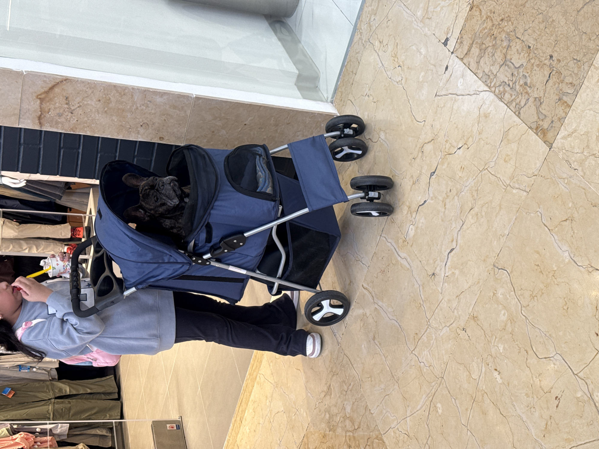 A woman, partially visible, is pushing a blue dog stroller on a marbled floor, likely inside a shopping center. A dark-colored dog, possibly a French Bulldog or similar breed, sits inside the stroller. The woman is wearing a light blue sweatshirt, black pants, and white sneakers. She has a pink backpack. She appears to be eating or drinking from a cup with a straw. Clothes racks are visible on the left side of the frame. Given the architectural style and the variety of goods shown, the scene may be in a shopping mall in Puebla, Mexico.